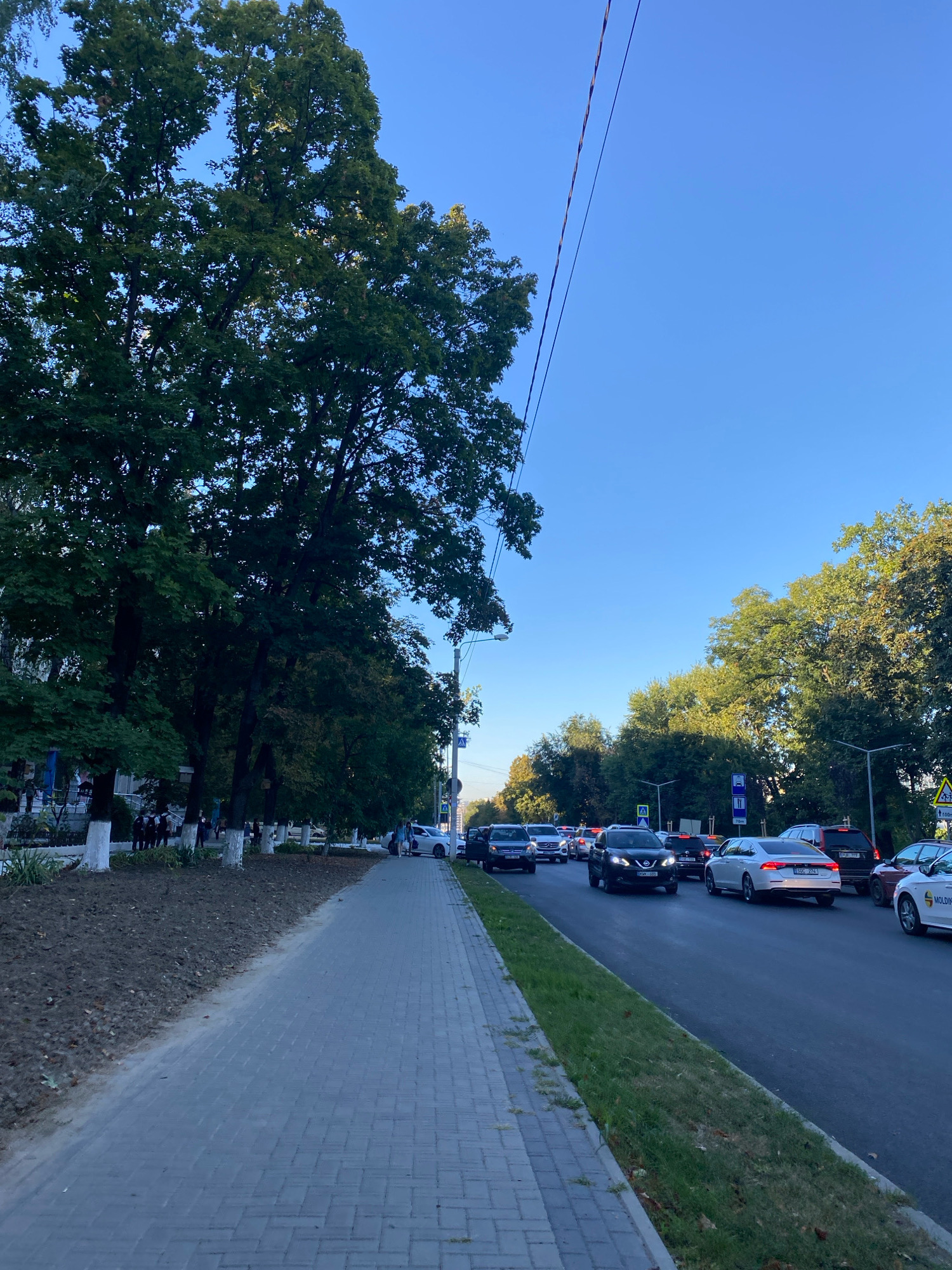 This is an eye-level, vertical, outdoor shot of a tree-lined street in Chișinău, Moldova, on a clear, sunny day. The foreground features a gray brick sidewalk on the left, bordered by a patch of dirt and fallen leaves, and then a grassy verge. The street is populated with a moderate amount of traffic, with cars moving in the distance. The trees are lush and green, with some light filtering through their leaves. Overhead power lines are visible against the bright blue sky. The scene depicts an urban environment with a focus on the natural elements of trees and sky.