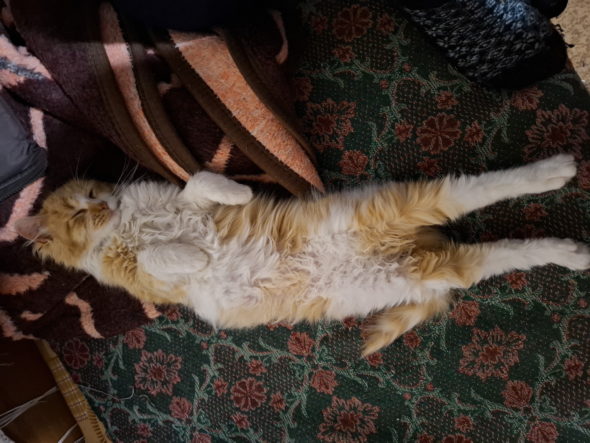An orange and white domestic cat is depicted sleeping on its back, exposing its belly. Its eyes are closed. The cat is positioned on a dark green textile surface patterned with red floral or geometric motifs. To the right of the cat, a brown and orange striped blanket is partially visible and appears folded. A portion of a light-colored, possibly woven mat with a checkered pattern is present in the upper left background. A dark, textured fabric with white flecks is visible in the lower right background. The scene occurs in an indoor setting, location in the city of Unknown, Unknown.