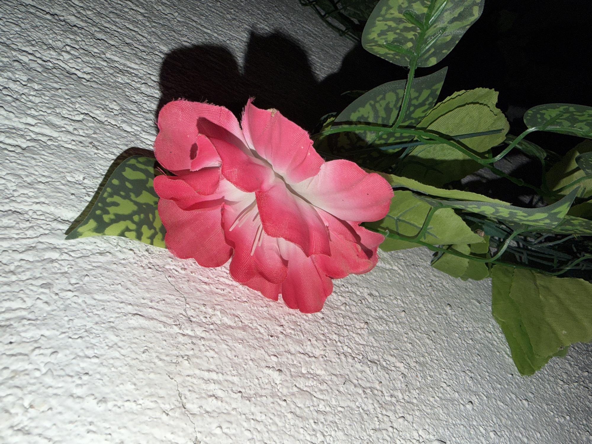 The image displays a close-up of artificial floral decor, set against a textured, light-colored wall in what is possibly Dabene, Bulgaria. The main subject is a vibrant pink artificial flower with multiple layered petals, positioned on the left side of the frame. It is accompanied by artificial green leaves on a vine; some leaves exhibit a distinct darker green spotted pattern, while others are plain green. The wall, likely stucco or rough plaster, covers the majority of the lower and left portions of the image. A strong, directional light source creates prominent, sharp shadows of the flower and leaves onto the wall. The upper right background behind the foliage is dark, indicating either an indoor setting with artificial illumination or an outdoor nighttime scene. No activity or individuals are depicted, nor is any text visible. The scene portrays a static decorative arrangement.