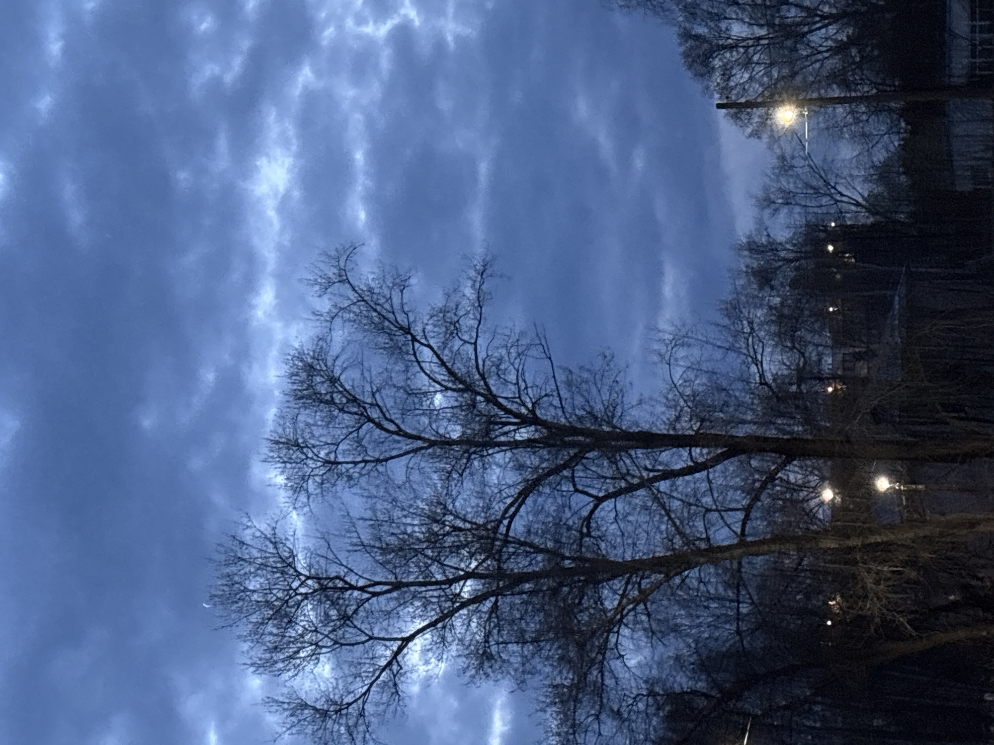 The image depicts a night scene in what appears to be a park or urban area in Chaikovsky, Russia. The sky is filled with a dark, cloudy, textured sky. Bare trees are silhouetted against the sky, their branches reaching across the frame. Streetlights are visible through the trees, their glow adding to the darkness of the scene. The overall atmosphere is somber.