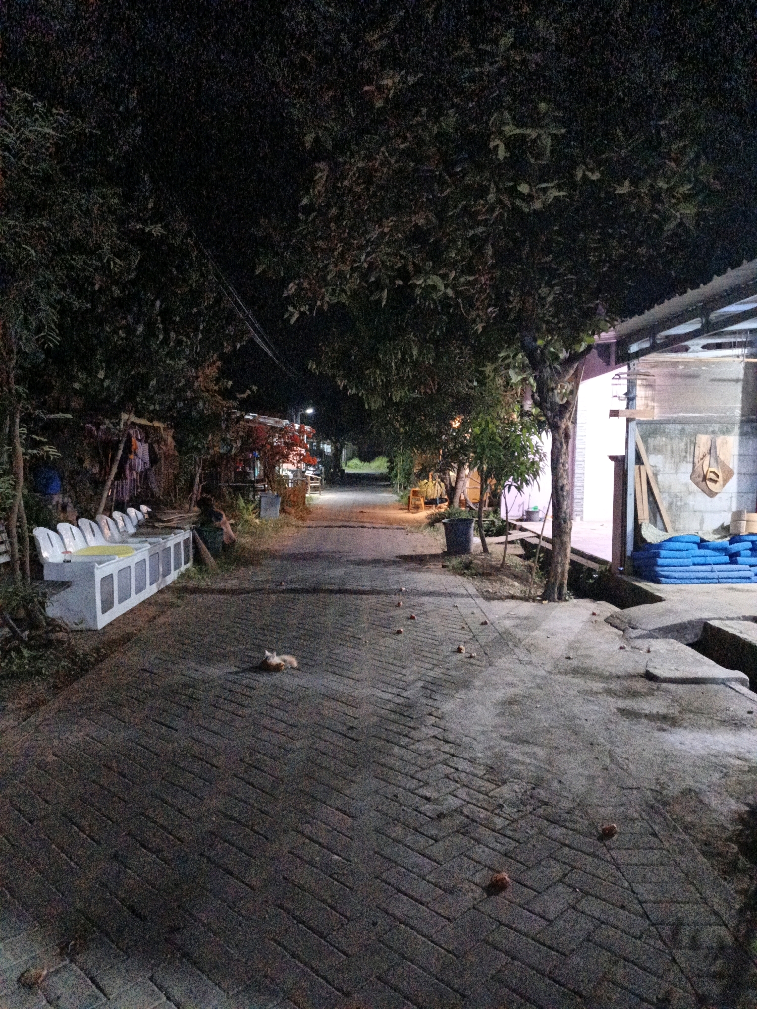 The image depicts a nighttime street scene in Cikal, Indonesia. A paved walkway, laid with interlocking bricks in a herringbone pattern, extends into the distance, flanked by trees and vegetation. To the left, a long, low concrete structure with a yellow-striped top and white seating appears to be a communal seating area or bench. Clothes are hanging on a rack behind this structure. A small, light-colored animal, possibly a cat, is lying on the walkway in the mid-ground. Further down the walkway, there are some small stalls or shops with lights illuminating them. To the right, there is a building with a corrugated metal roof and a concrete wall. Stacked blue objects, possibly mats or cushions, are visible against this wall. Scattered brown objects, resembling small fruits or nuts, are present on the walkway. The overall impression is of a quiet, somewhat rustic, urban or semi-urban environment at night.