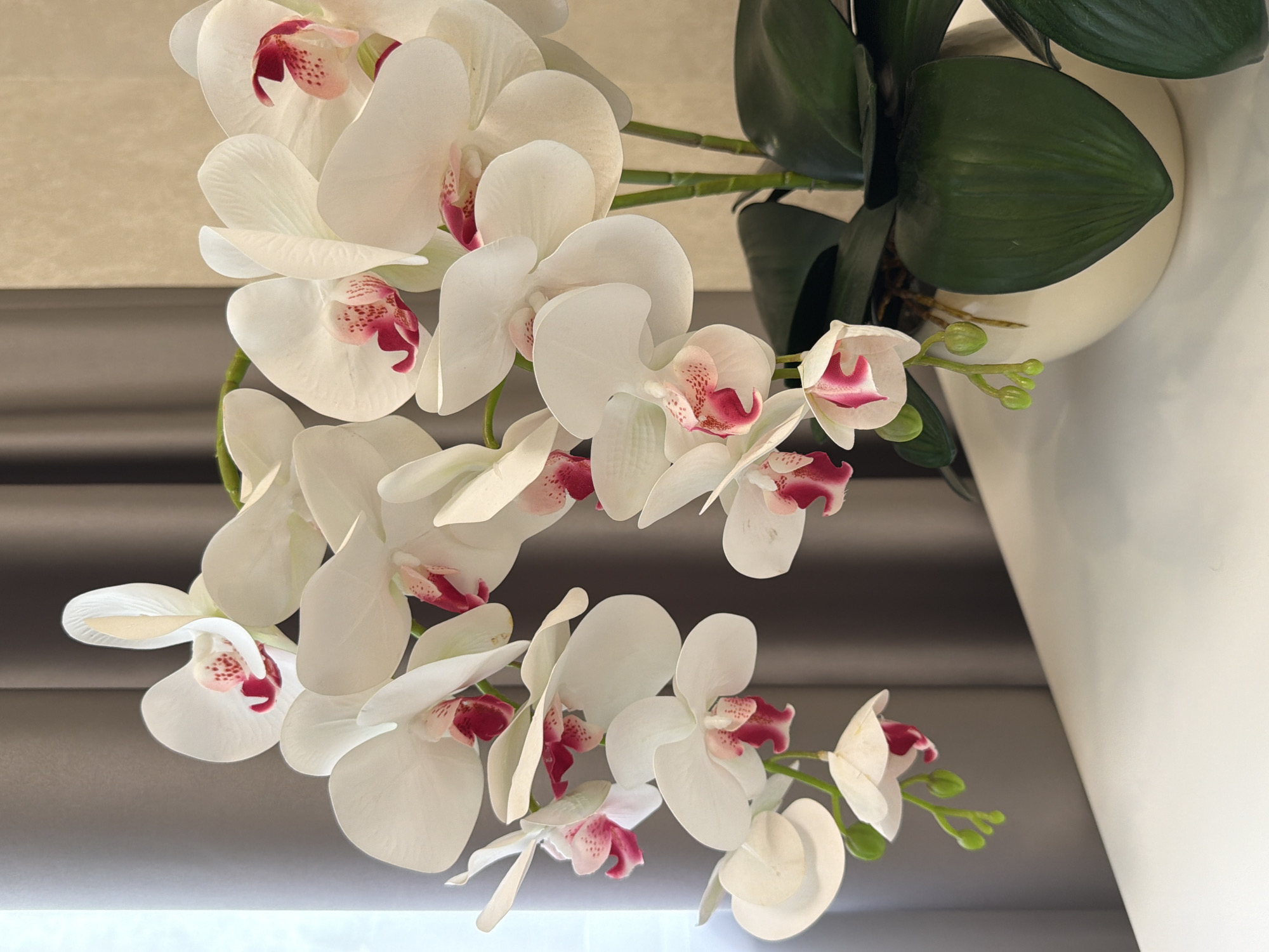 This is a close-up, vertical, eye-level shot of a pot of artificial white orchids with pink accents. The orchids are in full bloom with some buds visible, and they are arranged on a white surface, possibly a table. The background consists of a grey curtain on the left and a beige wall on the right, suggesting an indoor setting. The lighting appears to be soft and diffused, highlighting the delicate details of the flowers. The scene is static, with no people or animals present, and the focus is entirely on the floral arrangement.