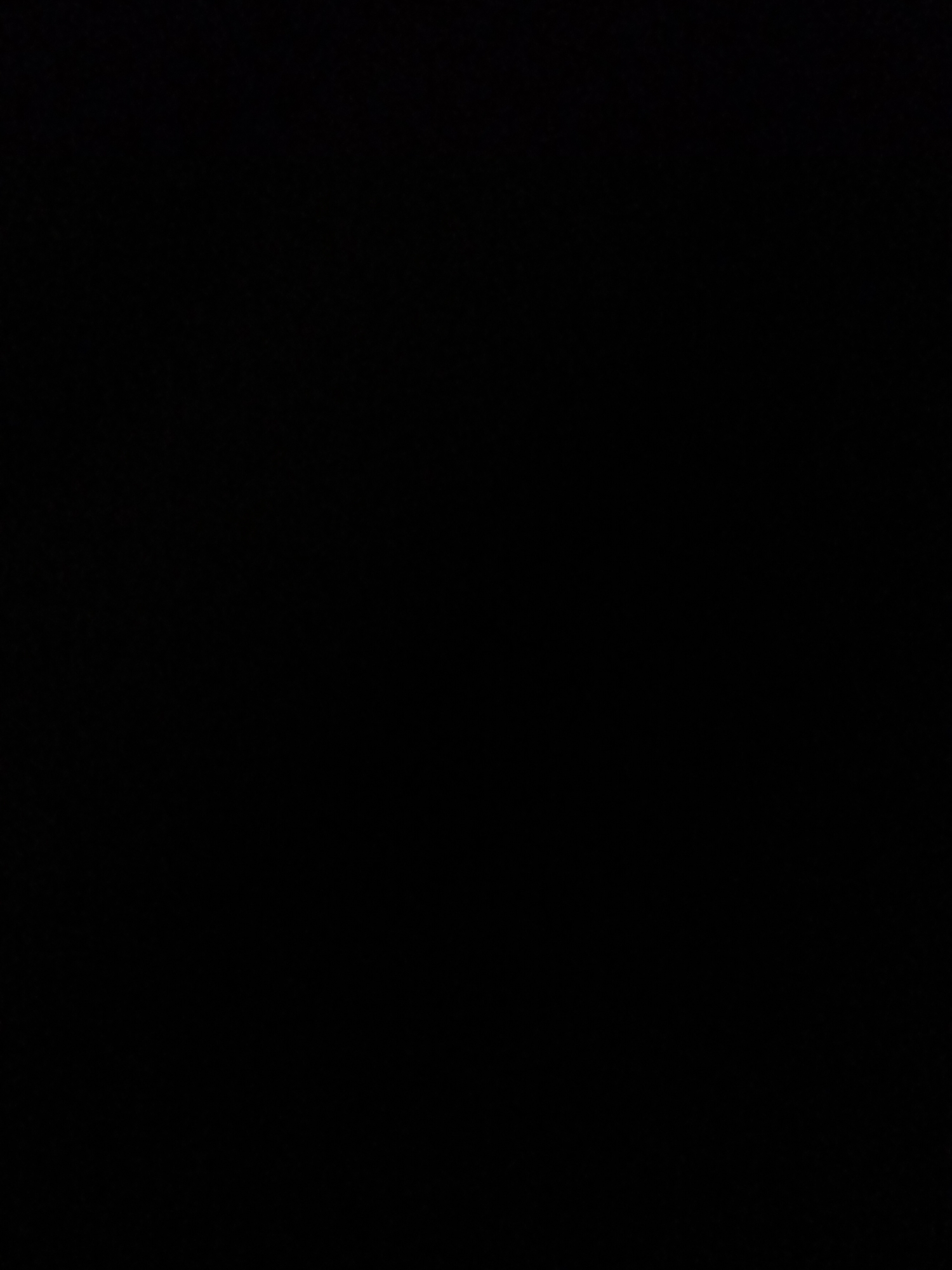 The media file is a still image, entirely black, with no discernible subjects, objects, scene, or activity. There are no notable details such as time of day, weather, location cues, or emotions. No text is visible in the image. The image appears to be completely devoid of any visual information.