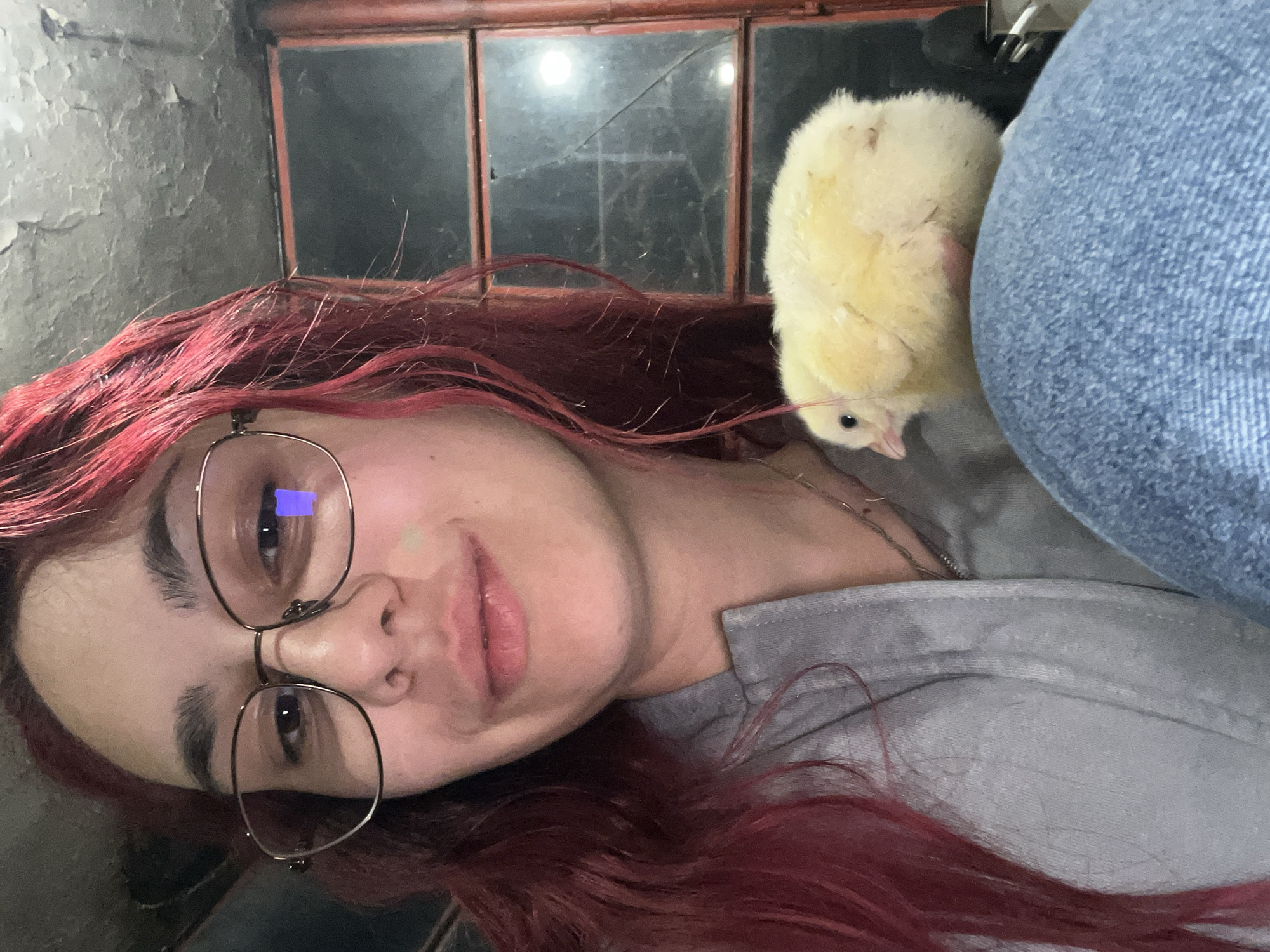 A woman with red hair and glasses holds a small yellow chick. She wears a grey shirt, and a blue denim jacket is partially visible. They appear to be inside a building. Behind her are grimy windows with multiple panes and a wooden frame. The wall next to her is cracked and peeling. No other identifying information exists. The location is unknown.