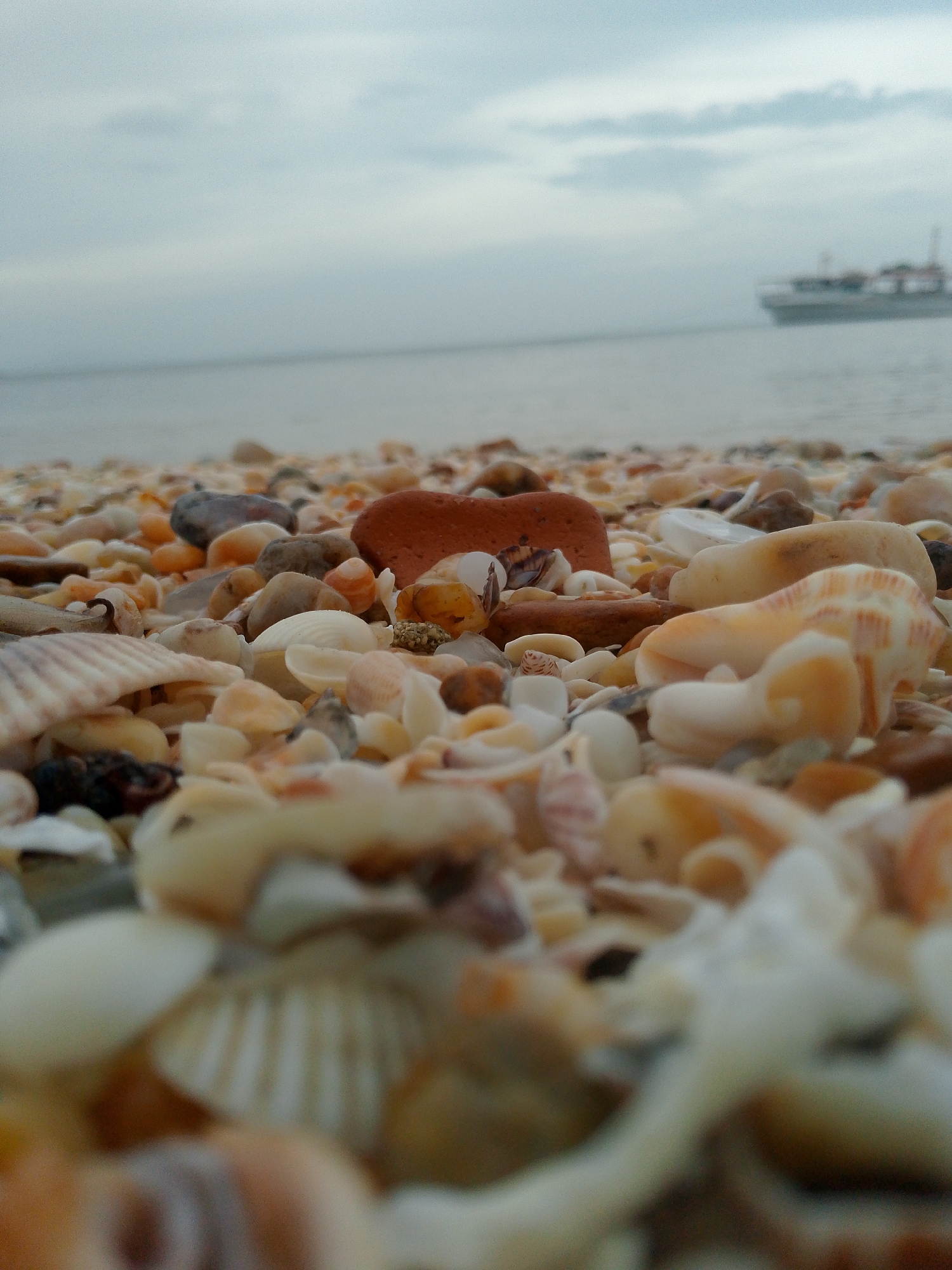 The image depicts a beach littered with seashells and small rocks, with a reddish brick fragment among them. In the background, the sea meets a cloudy sky. A large vessel is visible on the horizon. The location is Juan Griego, Venezuela, based on the prevalence of shell-covered beaches in that area. The foreground consists primarily of shells and pebbles, creating a blurred effect close to the lens.