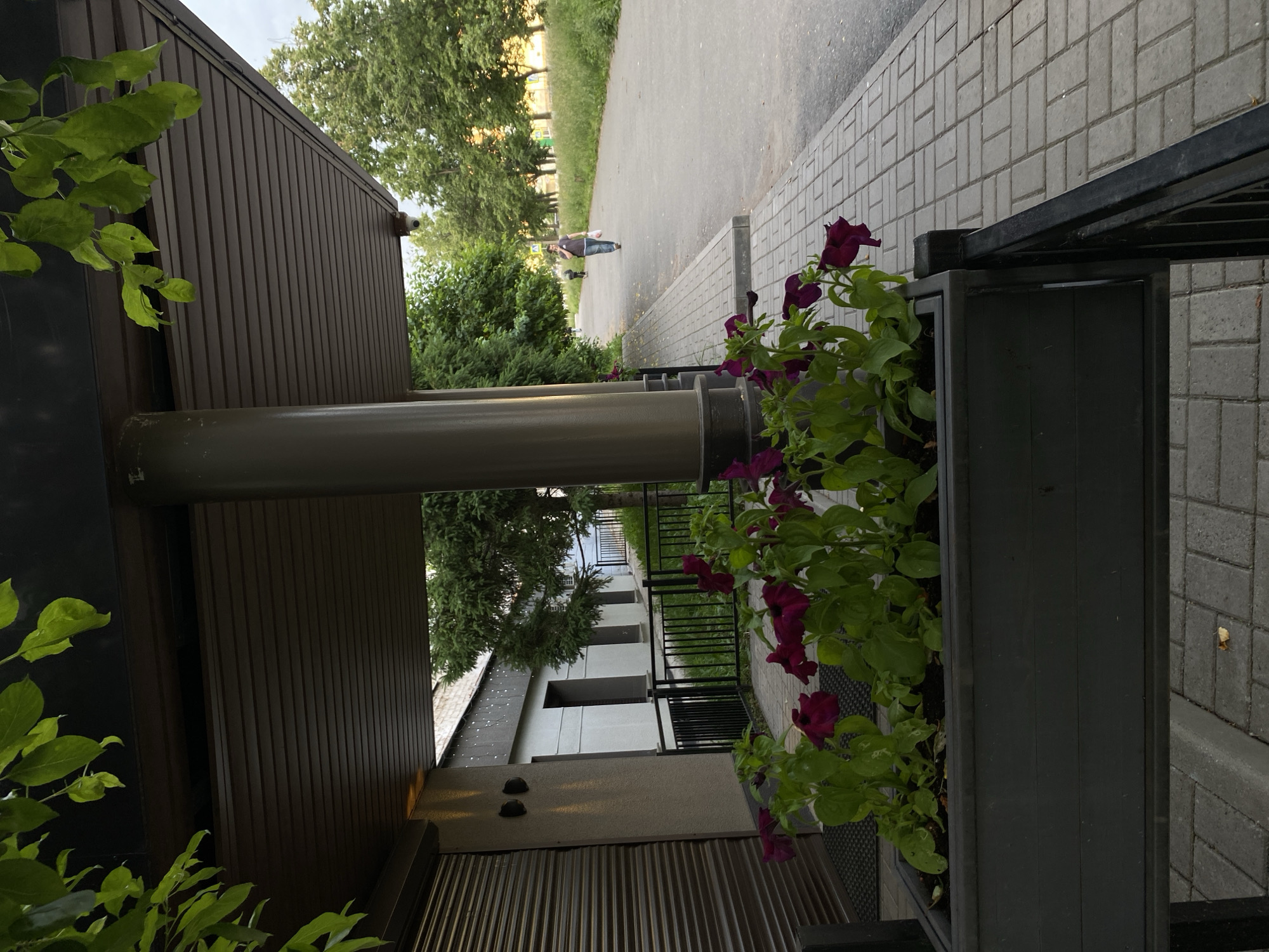 In Votkinsk, Russia, on a paved sidewalk next to a building, a planter box filled with dark purple flowers is positioned in the foreground. The building, with a dark brown overhang and a corrugated metal door, is to the left. A paved path extends to the right, bordered by a black metal fence. In the distance, a person walks away from the camera down the path, carrying a white plastic bag. Trees line the right side of the path, with a grassy verge beyond them. The sky is overcast.