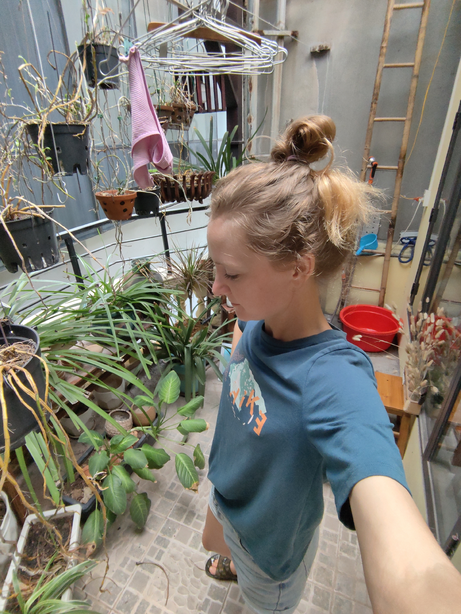 A young woman is captured in a selfie, looking downwards, in what appears to be a plant-filled outdoor or semi-outdoor space in Hà Nội, Vietnam. Her light brown hair is tied back in a messy bun. She is wearing a dark teal t-shirt with a graphic featuring mountains and trees, and light-colored shorts with sandals. Her right arm is extended, holding the camera.
The narrow space is densely populated with various plants, many of which are hanging in black plastic pots and brown woven baskets from metal clothes hangers suspended overhead. Some of these plants appear dry or have long, trailing roots. Potted plants with broad green leaves and long, thin leaves also line the tiled floor. A pink, ribbed garment hangs from one of the clothes hangers.
To the right, a rustic wooden ladder leans against a light gray concrete wall. A bright red plastic bucket and a blue scoop are visible on the ground near the ladder. A small wooden stool and a glass partition, behind which dried decorative plants can be seen, complete the background on the right. The floor is covered with light-colored, patterned tiles. The scene is illuminated by bright natural daylight. The graphic on her shirt appears to feature a word like "HIKES" or "TREK" in orange and white letters.