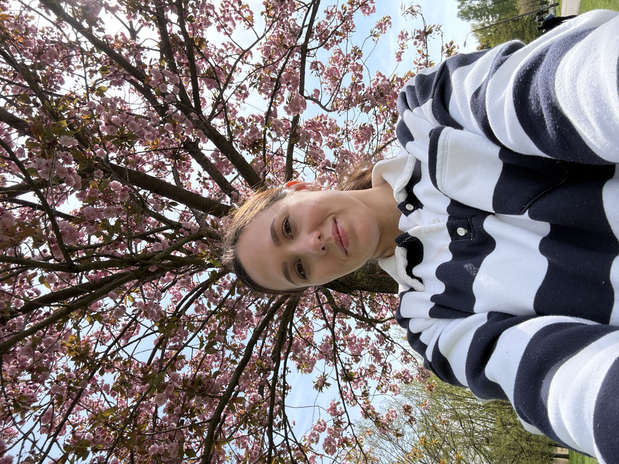 A woman is visible in an outdoor setting, positioned beneath a tree laden with pink blossoms against a blue sky. She is wearing a white and navy blue striped shirt with a collar, and her face is in focus with a slight smile. The background includes parts of the tree's branches and blossoms, with glimpses of greenery and possibly other trees in the distance. While the location isn't definitively identifiable as Riga, Latvia, from the image alone, the presence of cherry blossoms suggests a park or green space possibly in an urban environment. No specific actions or interactions are apparent other than the woman posing for the picture.