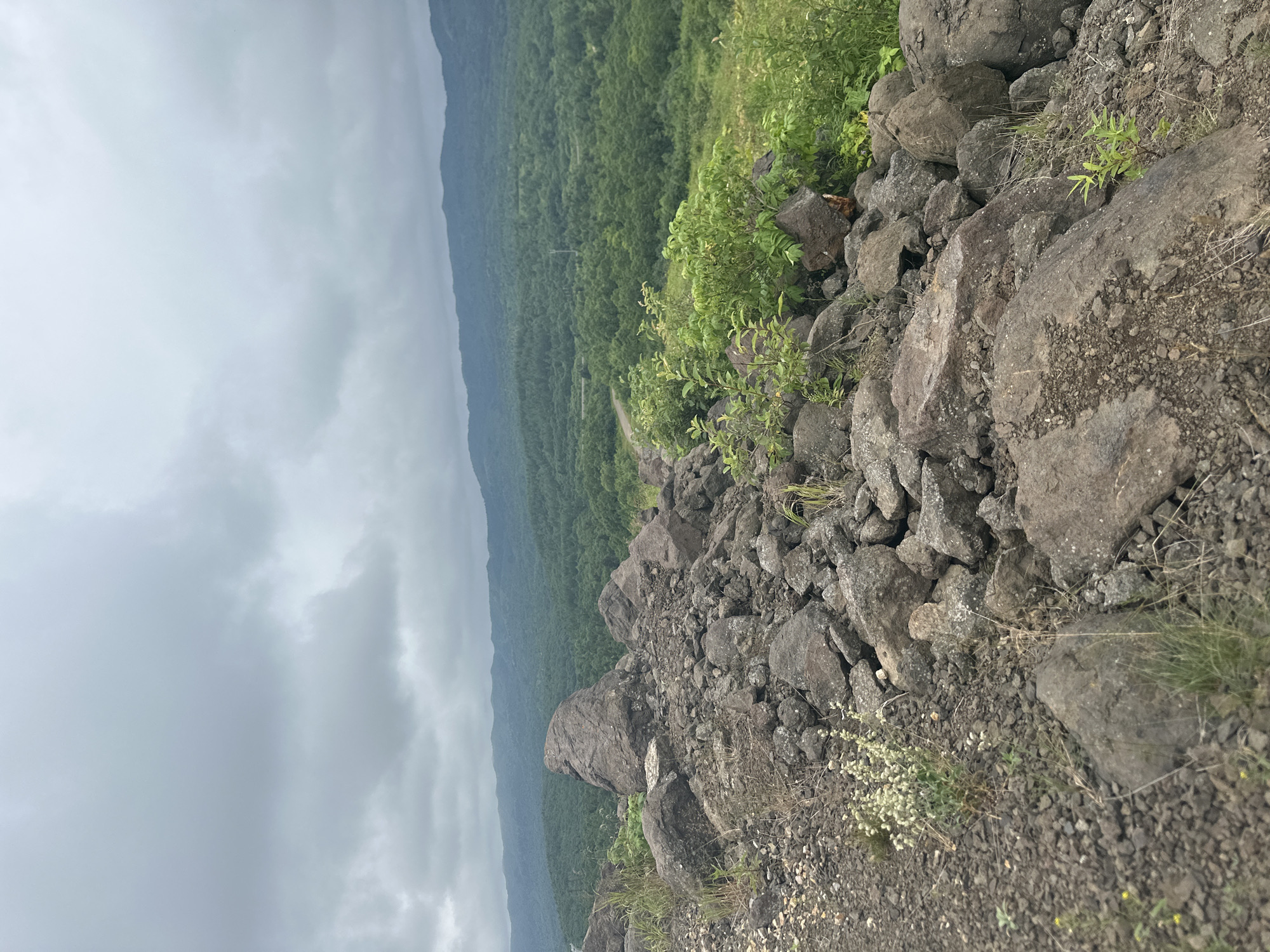 This is a landscape photograph taken from an elevated position overlooking a valley. The foreground is dominated by a rocky, uneven surface covered in large, dark gray boulders and smaller stones. Sparse, dry grasses and a few small green plants sprout between the rocks. In the mid-ground, a dense, lush green forest covers the rolling hills. A winding road is visible cutting through the trees. The background features distant, hazy mountains under a cloudy, overcast sky. The scene appears to be a natural, undeveloped area, likely in a rural or mountainous region. There are no people or visible signs of human activity beyond the road. The location is identified as Tsapko, Russia.