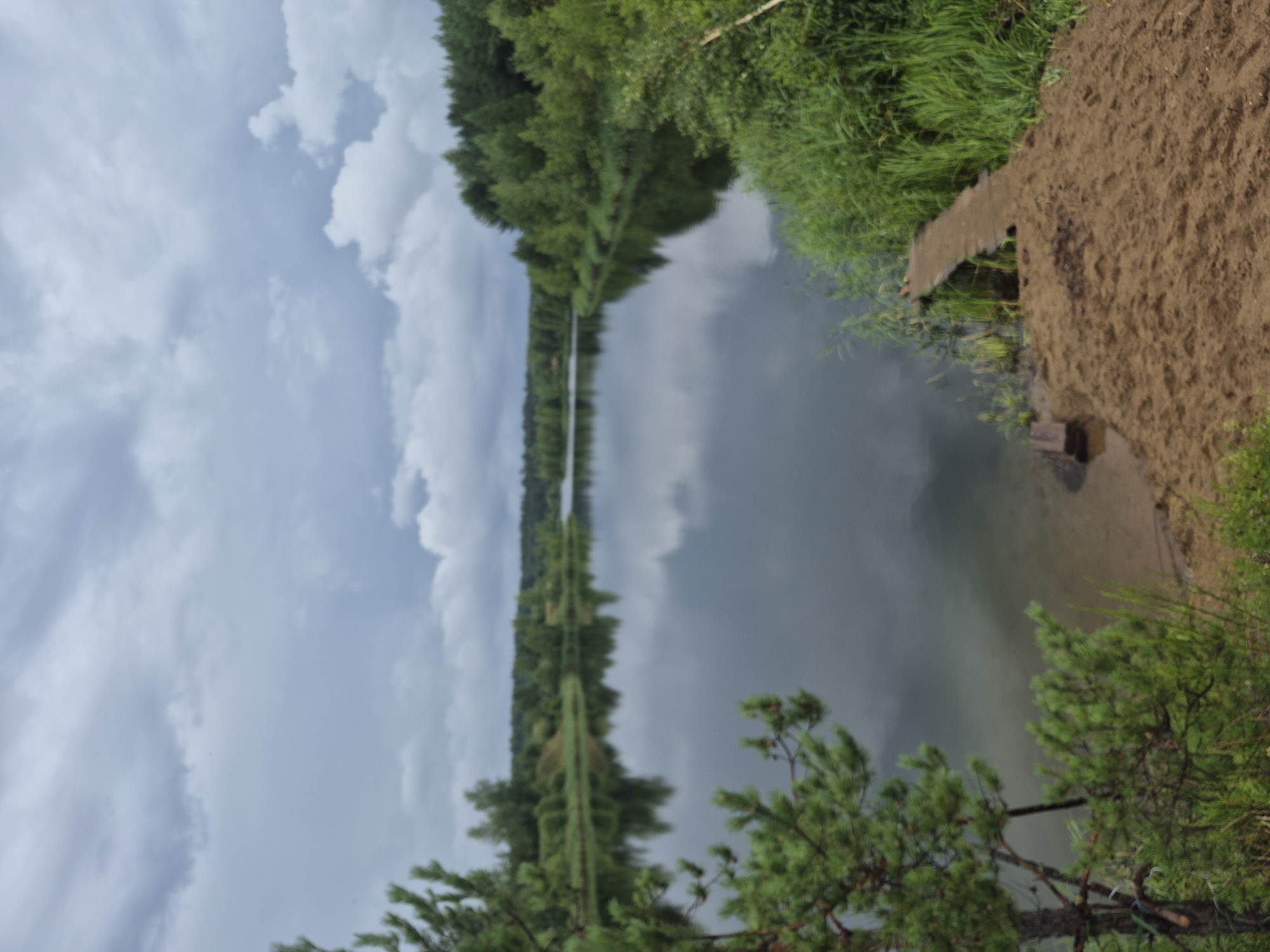 The image depicts a natural scene of a calm lake bordered by lush green trees and vegetation. The sky is overcast with dramatic clouds. In the foreground, a sandy bank slopes down to the water, with a small, rustic wooden pier extending into the lake. A pine tree with green needles is visible on the left side of the frame. The overall impression is one of tranquility and natural beauty, potentially a secluded spot for recreation. The location is identified as Novyi, Russia.