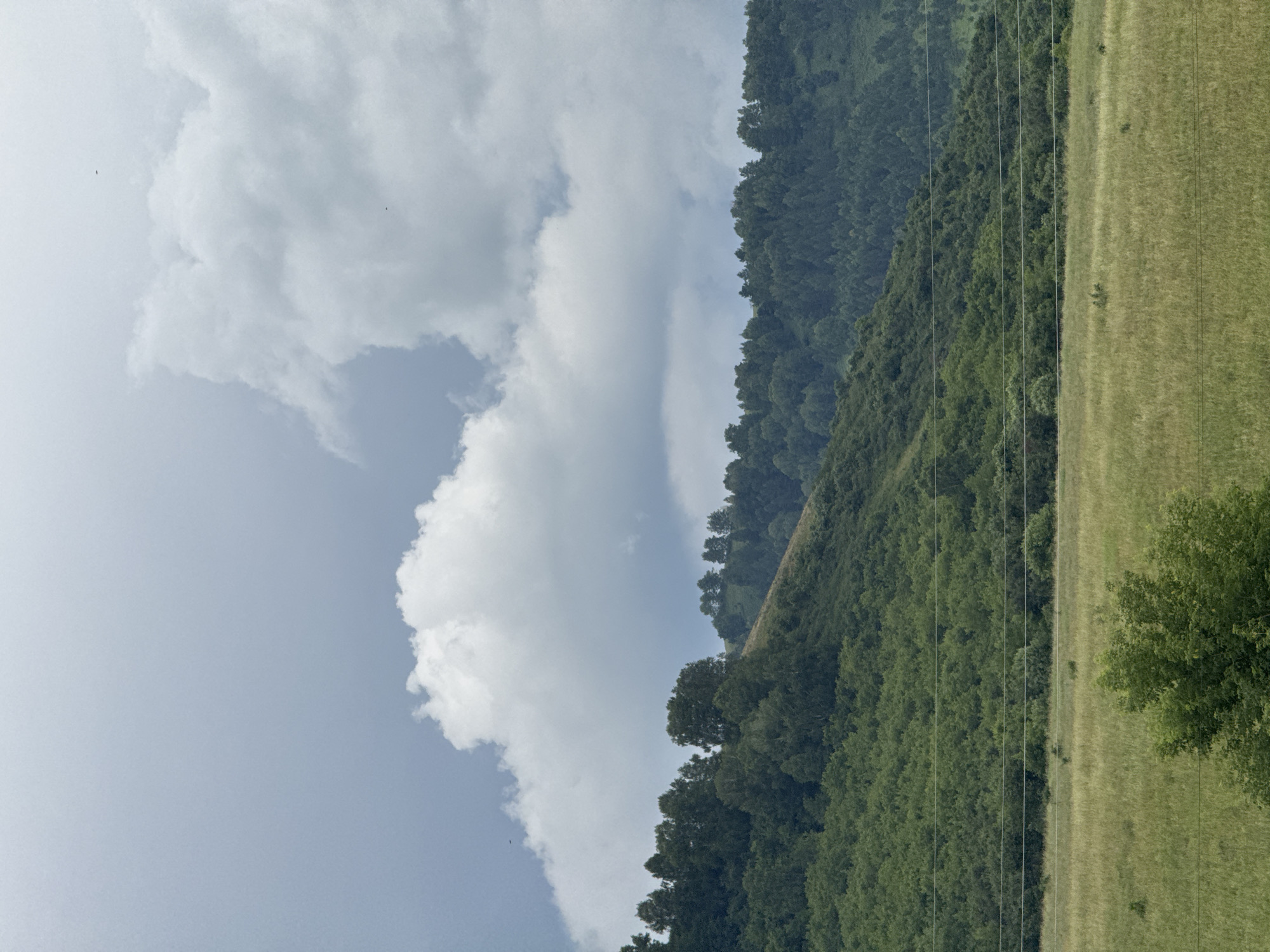 The image depicts a natural landscape scene featuring rolling green hills covered in dense trees, a vast grassy field in the foreground, and a cloudy sky above. The area appears to be rural, with no buildings or human figures visible. The image seems to be taken from a ground-level perspective, looking towards the hills and sky. The presence of power lines in the mid-ground suggests some form of infrastructure, but the overall impression is one of untouched nature. The location is identified as Soloneshnoye, Russia, known for its scenic natural beauty.