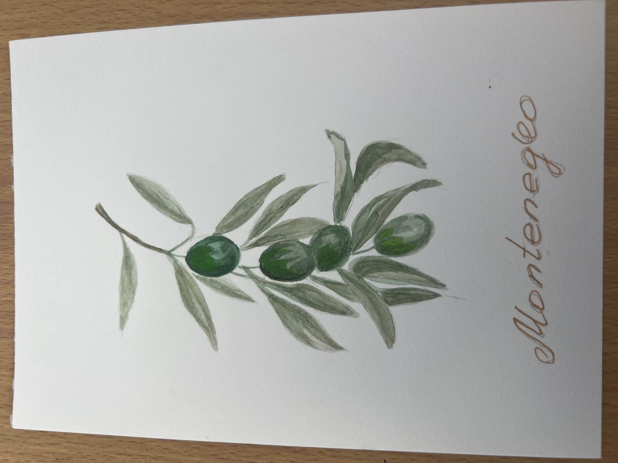 The image is a watercolor painting on white paper depicting a branch of olive tree with four green olives and several pale green leaves. The branch is oriented diagonally across the page from the upper left to the lower right. To the right of the branch, the word "Montenegro" is written vertically in brown ink. The paper rests on a wooden surface.
