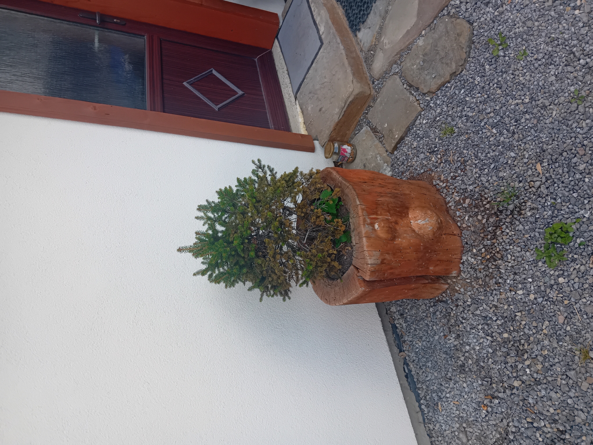 A small evergreen tree in a rustic wooden planter sits on a gravel path in front of a white textured wall. To the right of the planter is a dark brown wooden door with a glass pane and a diamond-shaped detail. In front of the door, there are stone steps leading up to it, and a dark gray doormat. A glass jar with a label is placed on the stone path near the planter. The scene appears to be an outdoor area, possibly a home entrance, in Zuberec, Slovakia.