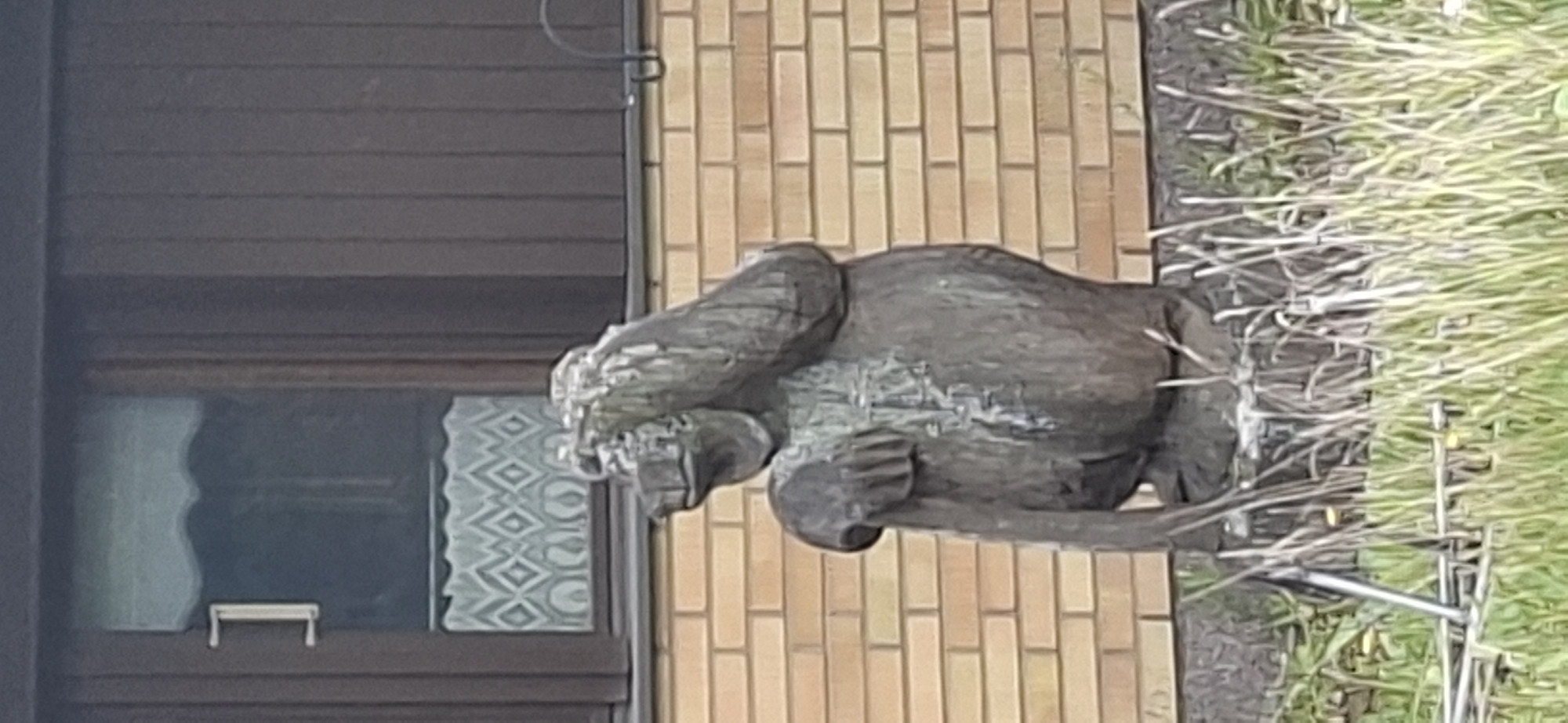 A wooden sculpture of a monkey is positioned in front of a brick wall and a window. The monkey sculpture is dark brown and appears to be weathered. It is sitting down with its arms raised to cover its face. The background consists of a light brown brick wall, a dark brown wooden structure with a window containing white patterned curtains and a handle on the left side. In front of the sculpture and brick wall, there is green grass and some dried stalks of grass. The scene appears to be outdoors, possibly in a garden or yard. No people are visible in the image.
