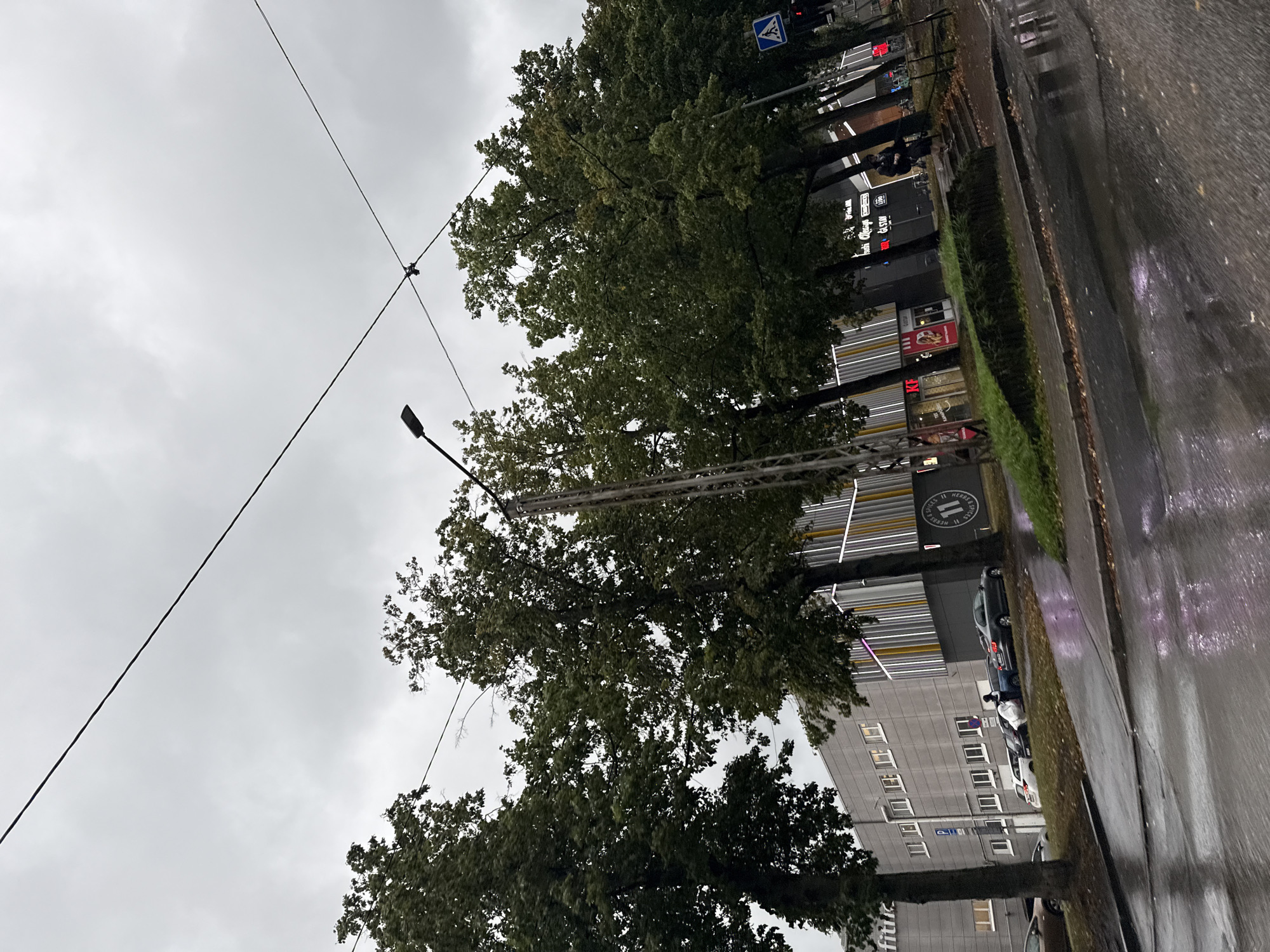 The image captures a street scene in Tallinn, Estonia, on an overcast day. A wet asphalt road occupies the foreground, reflecting the muted sky and streetlights. To the left, a modern, multi-story building with light-colored walls and numerous windows is visible, partially obscured by a large tree with dark green foliage. Adjacent to this building, a parking area with several cars is present. Beyond the parking, a row of trees with dense green canopies lines the street. A street lamp with a dark head stands prominently among the trees, near a metal pole. Further down the street, commercial establishments with illuminated signs, including "KFC" and "11 Heroes & Spices," are situated. Pedestrians are seen walking on the sidewalk, and a person is observed near a parked car, carrying a large white object. A blue pedestrian crossing sign is mounted on a pole at an intersection on the right side of the frame. Overhead, thick, dark electrical wires traverse the sky, adding a layer of urban infrastructure to the scene.
