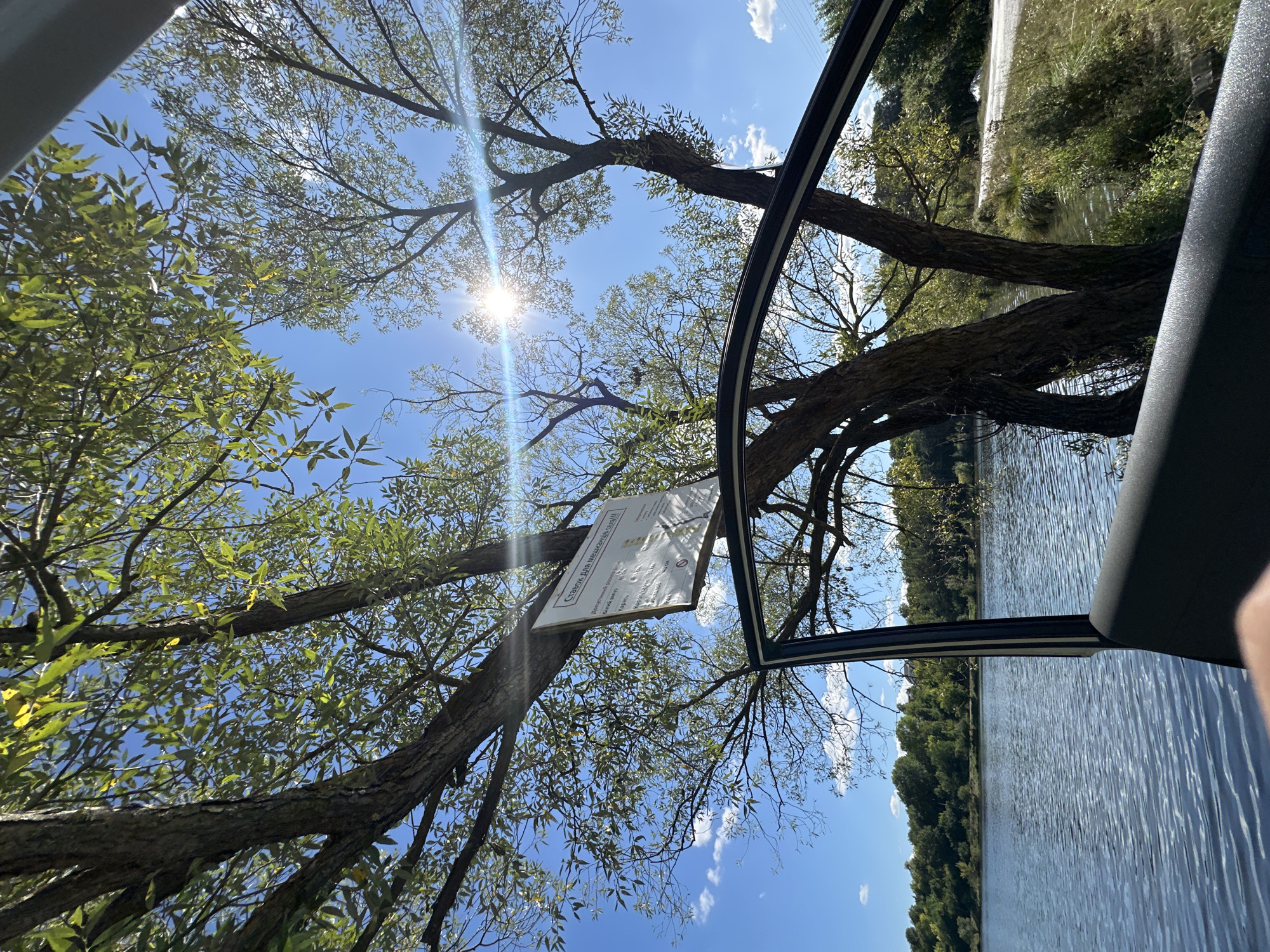 A low-angle shot of a tree with a sign attached to its trunk, located next to a body of water. The sun is visible through the leaves of the tree, creating a lens flare effect. The sign is white with black text and appears to be in Cyrillic. The body of water has ripples on its surface, and a line of trees can be seen on the opposite bank. A car door is open in the foreground, partially obscuring the view of the water and the environment. The sky is blue with some scattered white clouds. The location is identified as Makiv, Ukraine.