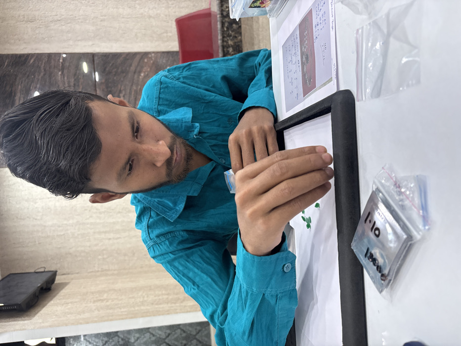 Memory