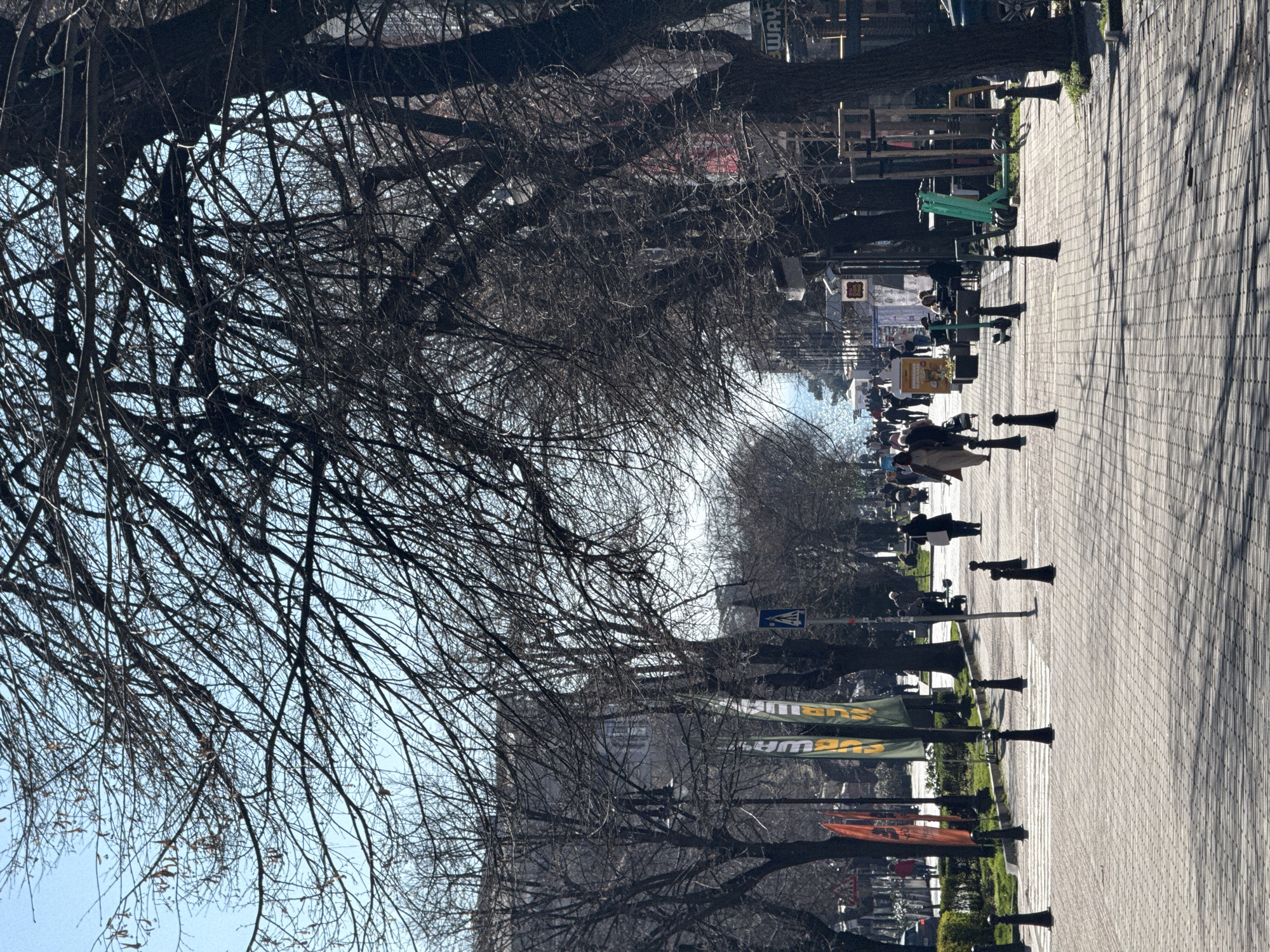 The image captures a view along a pedestrian street in Varna, Bulgaria. The street is paved with light-colored bricks and lined with trees lacking leaves. A row of black lampposts and small green bushes flanks the street. Banners displaying the word "SUBWAY" are visible. People are seen walking along the street. In the distance, buildings and other street elements are visible, including a few cars. The sky is light blue. The bare branches of the trees create a network of dark lines against the sky. The overall impression is a late fall or early spring day in an urban area.