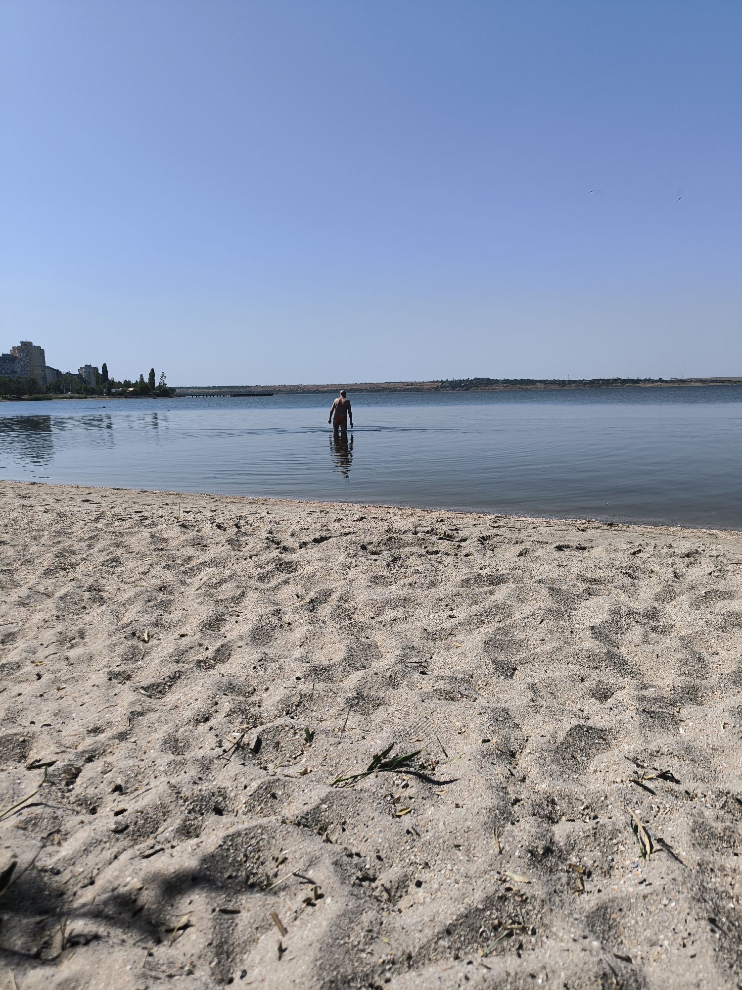 A person is wading into a calm body of water on a sunny day. The foreground is dominated by a sandy beach with scattered shells and dried grass. In the mid-ground, the person, wearing orange shorts, stands waist-deep in the water. The background features a wide expanse of calm water, with a distant shoreline on the right and buildings, trees, and a pier on the left. The sky is clear and blue. The scene is likely a beach along the Southern Bug River in Mykolaiv, Ukraine, given the distinctive urban landscape on the left bank, which is characteristic of Mykolaiv's waterfront.