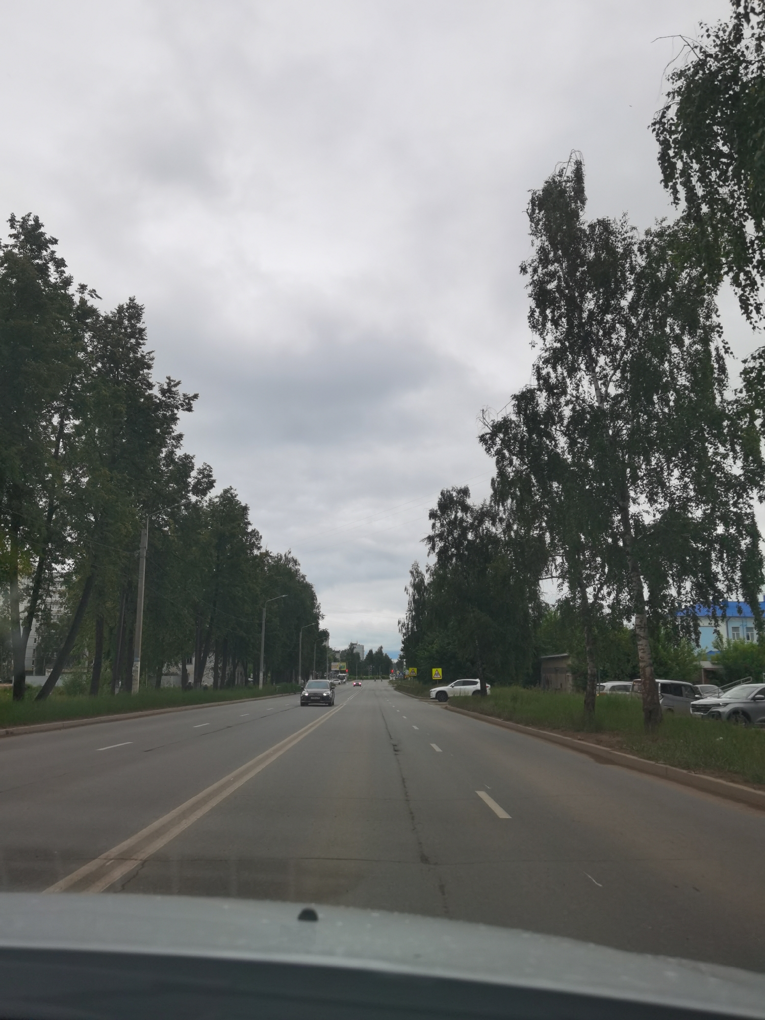 The image depicts a straight, multi-lane asphalt road under an overcast, light-grey sky, viewed from inside a vehicle looking forward, with the top of a dashboard visible at the bottom of the frame. The scene is located in the city of Chaikovsky, Russia.
The road features a double solid yellow line dividing traffic directions and white dashed lines marking individual lanes. The asphalt appears dry.
On the left side of the road, a dense line of tall, leafy deciduous trees borders the road, interspersed with gray utility poles/streetlights. Beyond the trees, a light-colored multi-story building is partially visible in the distance. A dark sedan is traveling in the opposite direction in the leftmost lane.
On the right side of the road, a grassy verge separates the roadway from a row of trees, predominantly birch trees with drooping branches. Behind these trees, an unpaved area contains a small, utilitarian-looking building and several parked vehicles, including a white SUV, a silver minivan/SUV, and a dark grey sedan. Two yellow triangular road signs, each depicting a black pedestrian symbol (indicating a pedestrian crossing), are visible on the right shoulder near the white SUV. Further in the distance, a building with a blue roof is visible on the right. A dark sedan is visible driving ahead in the same direction as the viewer, and another vehicle (possibly red) is further ahead.
The overall lighting is flat and diffused, consistent with an overcast daytime setting. The trees are in full foliage, suggesting a season of late spring or summer. No specific people are identifiable.