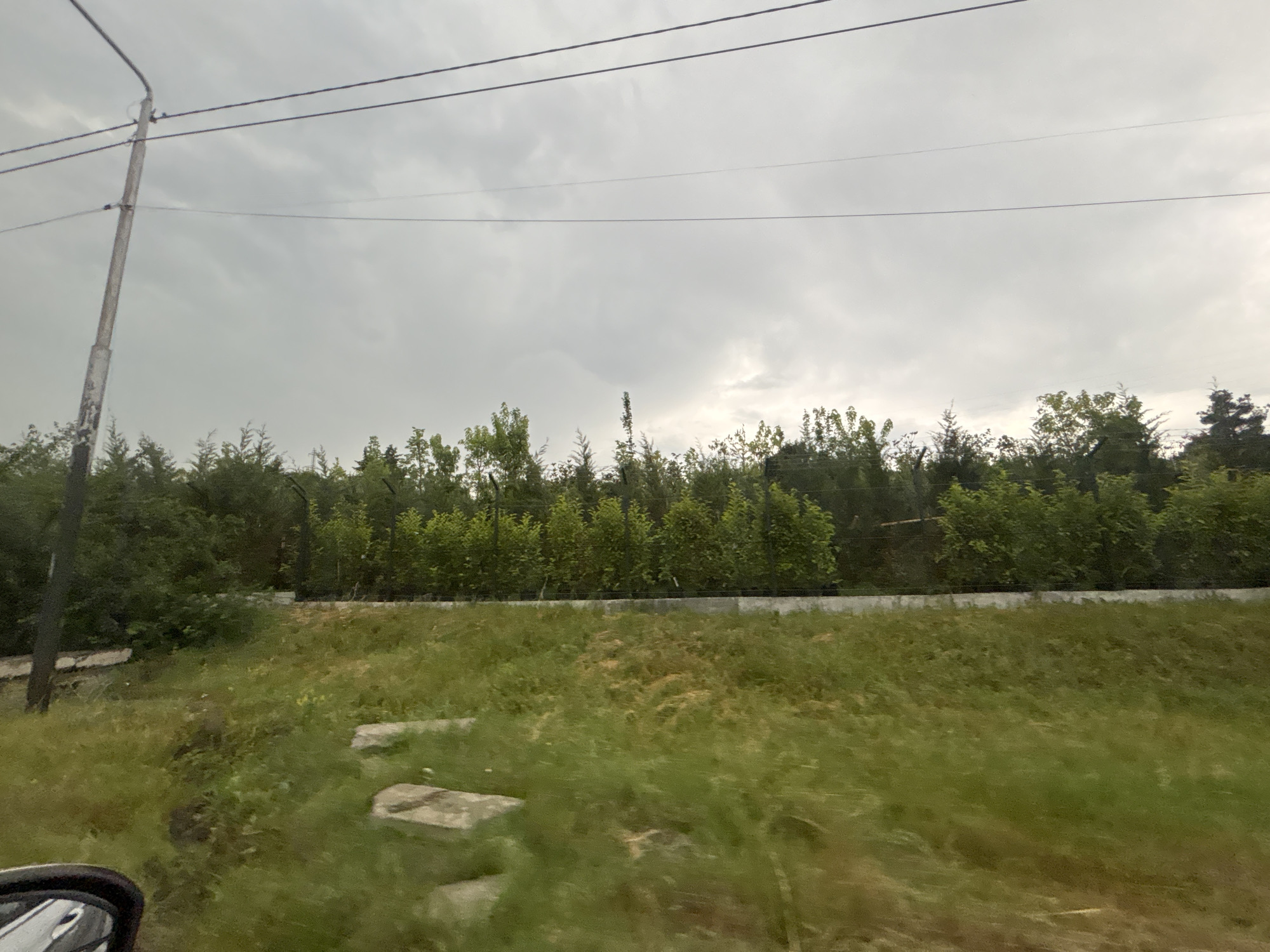 This is a medium-shot, outdoor photograph taken from a moving vehicle, likely in Tbilisi, Georgia. The scene depicts a cloudy day with overcast skies. In the foreground, lush green grass is visible, with some patches of dry, yellowish grass and scattered concrete slabs. The middle ground features a line of dense green trees and bushes, behind which a fence can be seen. A low concrete wall runs horizontally in front of the vegetation. A solitary utility pole with wires extends upwards on the left side of the frame. The overall atmosphere suggests a natural, possibly rural or suburban, setting under moody, cloudy weather conditions. The focus is on the landscape and the elements of infrastructure present. No people or specific events are depicted. The time of day is indeterminate due to the overcast conditions.