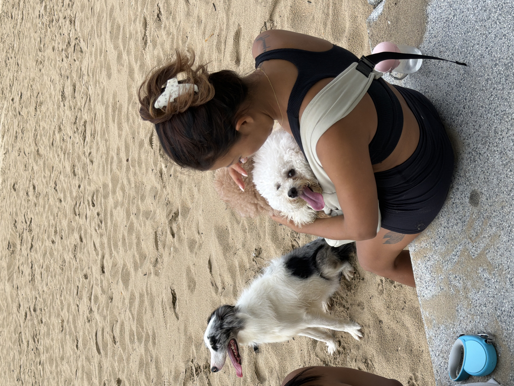 At a beach in Nha Trang, Vietnam, a young woman sits on a concrete ledge, facing away from the camera. She wears a black tank top and black shorts, with a light-colored fabric sling over her shoulder. In the sling, she holds a fluffy white dog with its tongue hanging out. Another dog, a Border Collie with black and white markings, sits on the sand to her left, also with its tongue out. The sand is the primary element of the environment, with gentle ripples indicating a recent tide. In the foreground, a blue retractable dog leash lies on the concrete ledge, and a pink water bottle is visible behind the woman.
