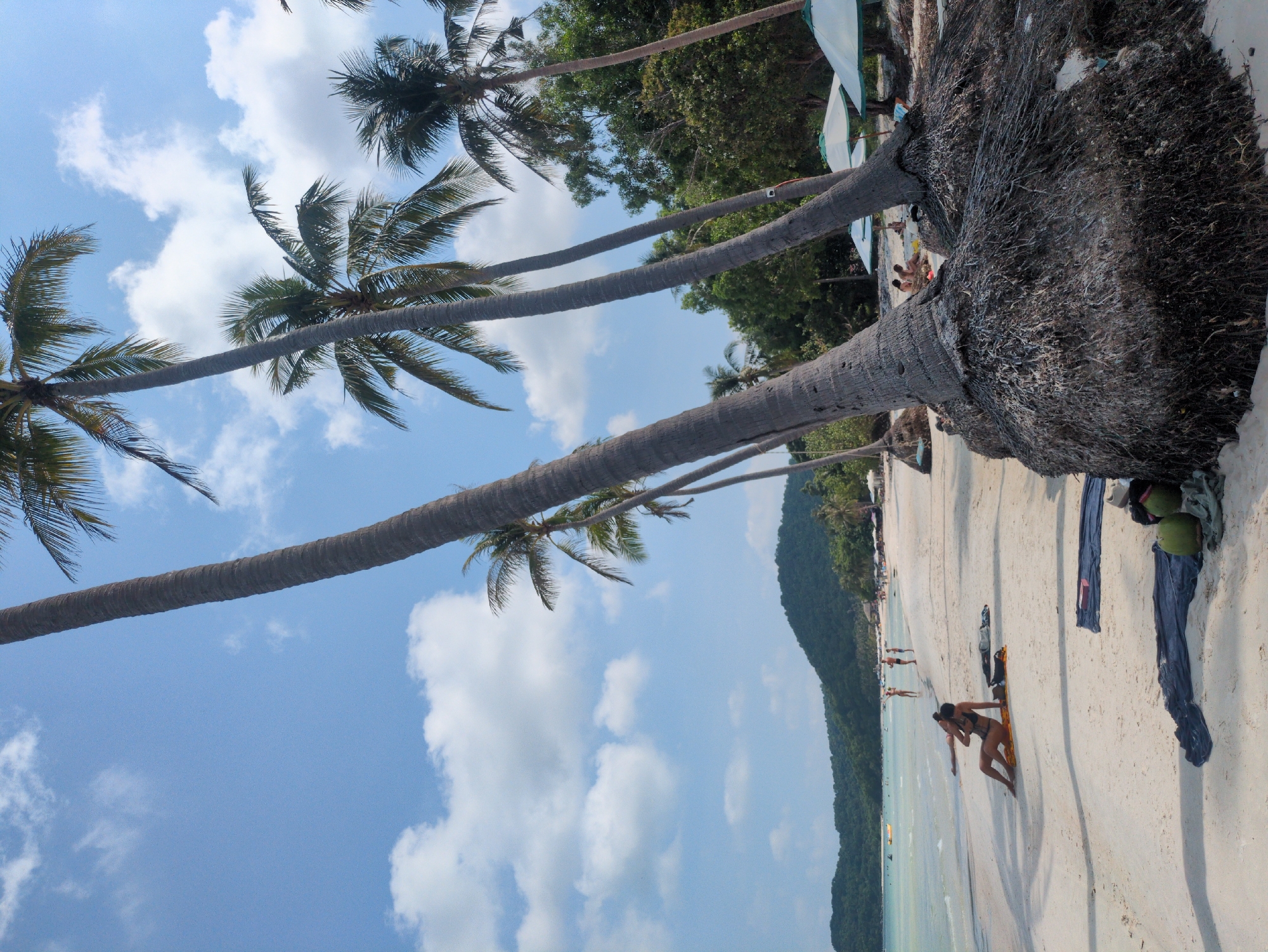 A tropical beach scene in Phú Quốc, Vietnam, features white sand, clear turquoise water, and numerous leaning palm trees. The sky is bright blue with scattered white clouds. Several people are visible on the beach; one is sunbathing, and others are in the water. Personal belongings, including towels and bags, are scattered on the sand near the trees. A lush green hillside rises along the coastline in the distance.