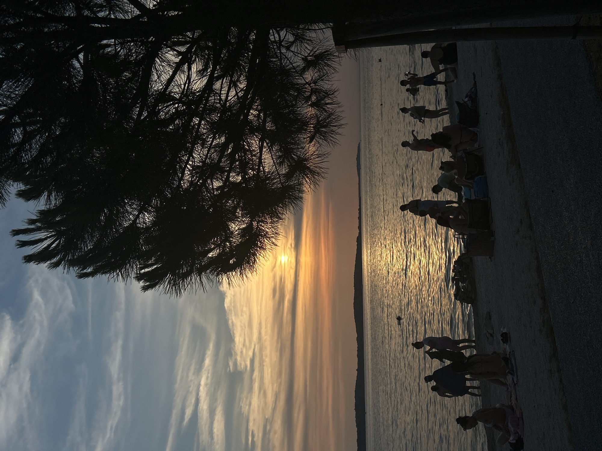 The image depicts a sunset scene at a beach. A silhouetted pine tree dominates the right side of the frame, its needles casting shadows across the sky. In the water, several individuals are visible, some swimming and others standing near the shore. The sun, a bright orb, is low on the horizon, casting a warm glow across the water and sky, with colorful clouds stretching across the frame. On the sandy beach, groups of people are gathered, some sitting on towels and others standing. The overall atmosphere is serene and tranquil, with the fading light of the day creating a peaceful ambiance. The location is identified as Unknown, Unknown.