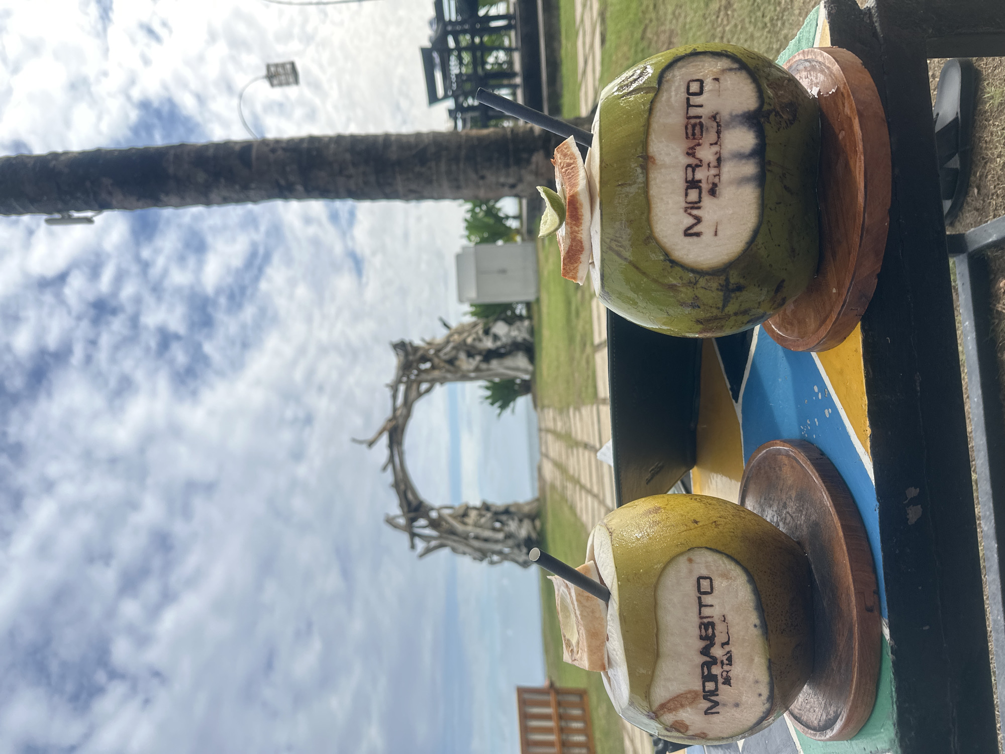 The image depicts two coconuts, labeled "MORABITO" in vertical capital letters, sitting on wooden coasters on a colorful table in North Kuta, Indonesia. Each coconut has a black straw inserted, and coconut pieces protrude from the opening. In the background, a driftwood archway stands on a grassy lawn facing the ocean. The sky is overcast with cloudy conditions. A palm tree trunk is visible on the left side of the frame. The scene suggests an outdoor dining area or lounge at a beachside establishment, likely the Morabito Art Villa in North Kuta.