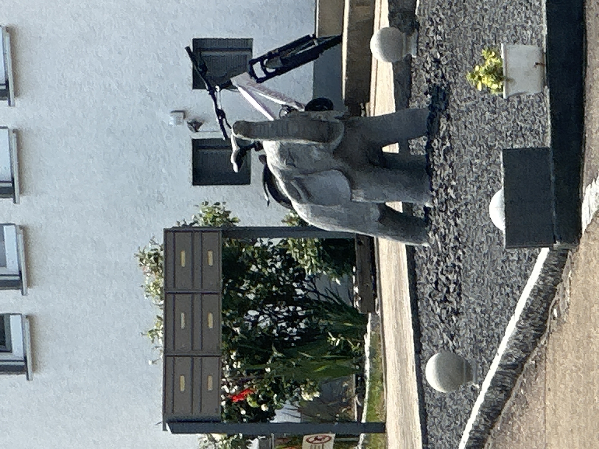 The image depicts an outdoor scene in front of a building with a textured white facade. In the foreground, a gray stone statue of an elephant is positioned in a gravel bed. To the right of the elephant, a light-colored bicycle is leaning against the building, its front wheel turned towards the right. Above the elephant and to the left, a series of dark gray mailboxes are mounted on a metal frame, with greenery and some red flowers visible behind them. The building features two dark-framed windows. The ground in the foreground is a paved walkway and a gravel area with several decorative spherical stones. A small potted plant with green leaves sits in a white pot to the far right. The scene is captured in daylight, with clear, overcast skies. The image shows no people. The location is identified as Günzburg, Germany.