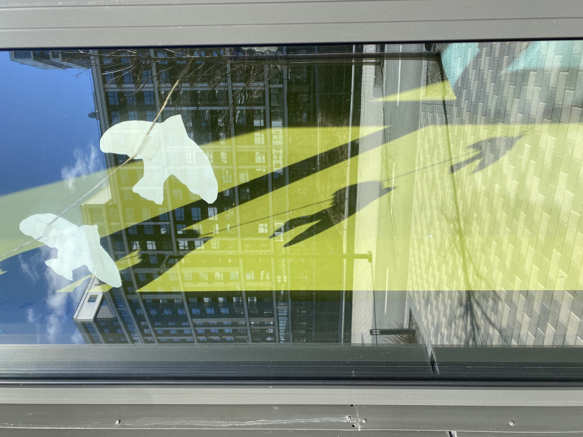 The image depicts a view through a window, reflecting elements of Yekaterinburg, Russia. Two white paper cut-outs of birds are attached to the inside of the window. The reflection in the glass includes a building with many windows and a road. The reflection is overlayed with a geometric pattern in green. The window frame is dark grey. The bottom portion of the frame has some smudges and a few screws.