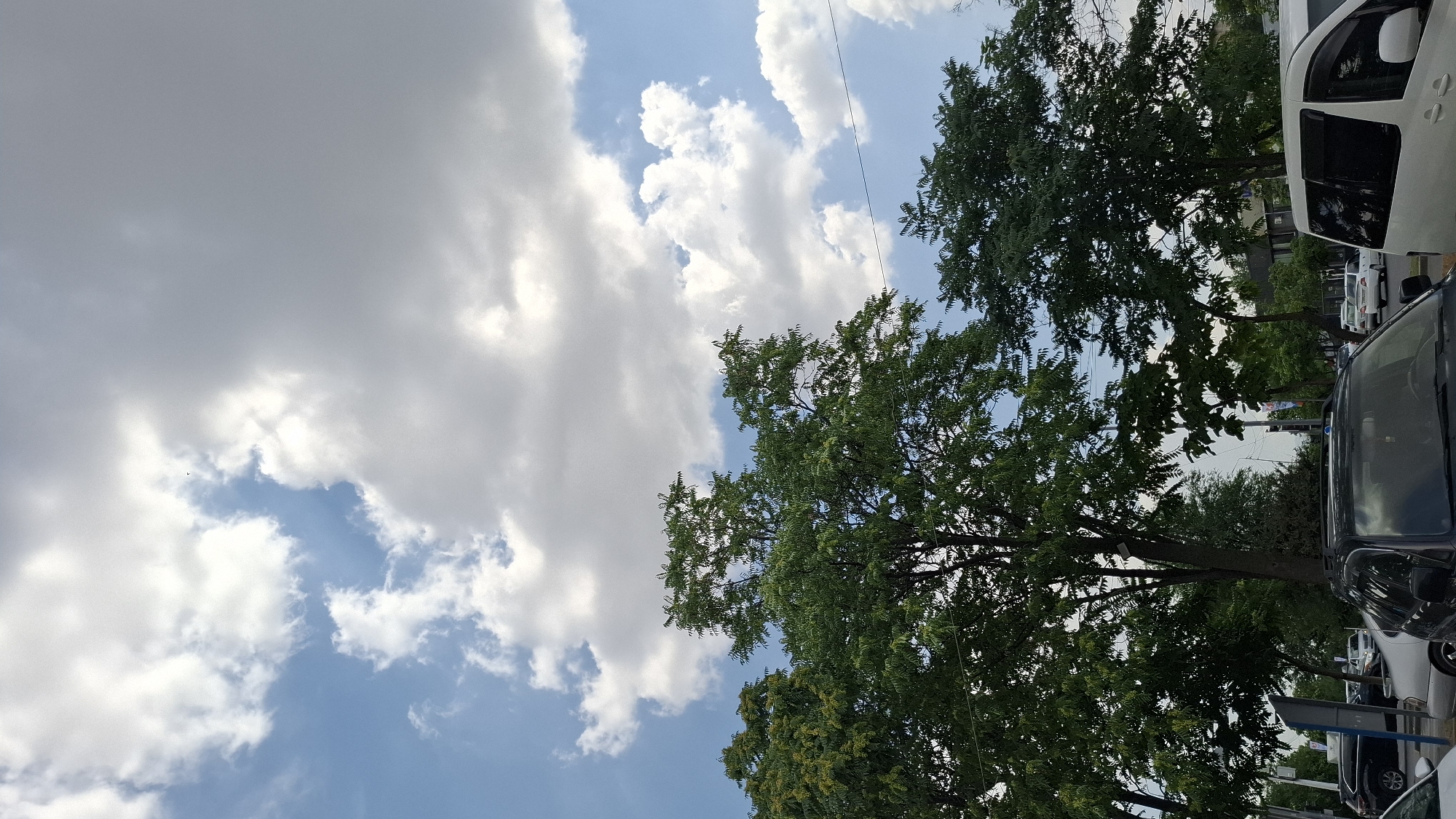 In Shymkent, Kazakhstan, a daytime scene features a clear blue sky with scattered white cumulus clouds. Dominating the foreground are the lush green canopies of several trees. Below the trees, a street is visible with parked vehicles, including a black SUV in the immediate foreground, and other cars and a white van further down the street. Buildings and more trees form the background.