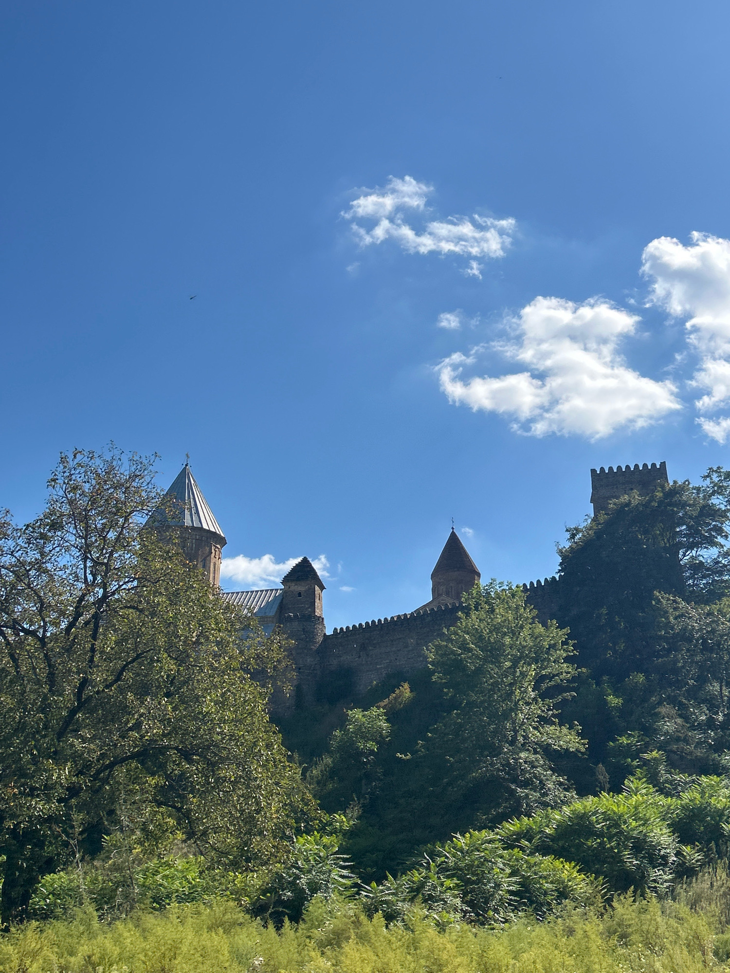 The image captures a medieval fortress perched on a hill, partially obscured by lush greenery. The fortress, constructed from stone, features conical towers and crenellated battlements against a clear blue sky dotted with white clouds. In the distance, a tiny dark speck, likely a bird or plane, is visible in the sky. The foreground is filled with dense foliage, ranging from tall, leafy trees to shorter bushes and grassy ground cover, suggesting an outdoor, natural setting. The scene is serene, with no people or animals present. The overall impression is one of historical grandeur nestled within a vibrant natural landscape.