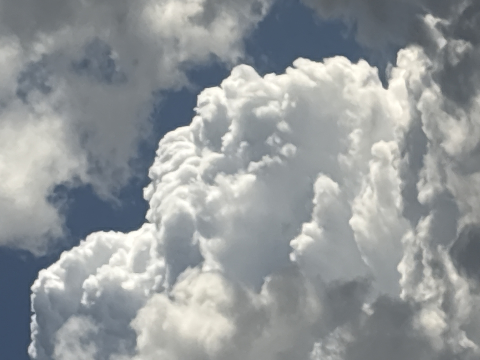 The image shows a close-up of billowing white cumulus clouds against a partially blue sky. Some gray clouds are also visible. The location is not discernible from the image. There are no people or objects besides the clouds and sky.
