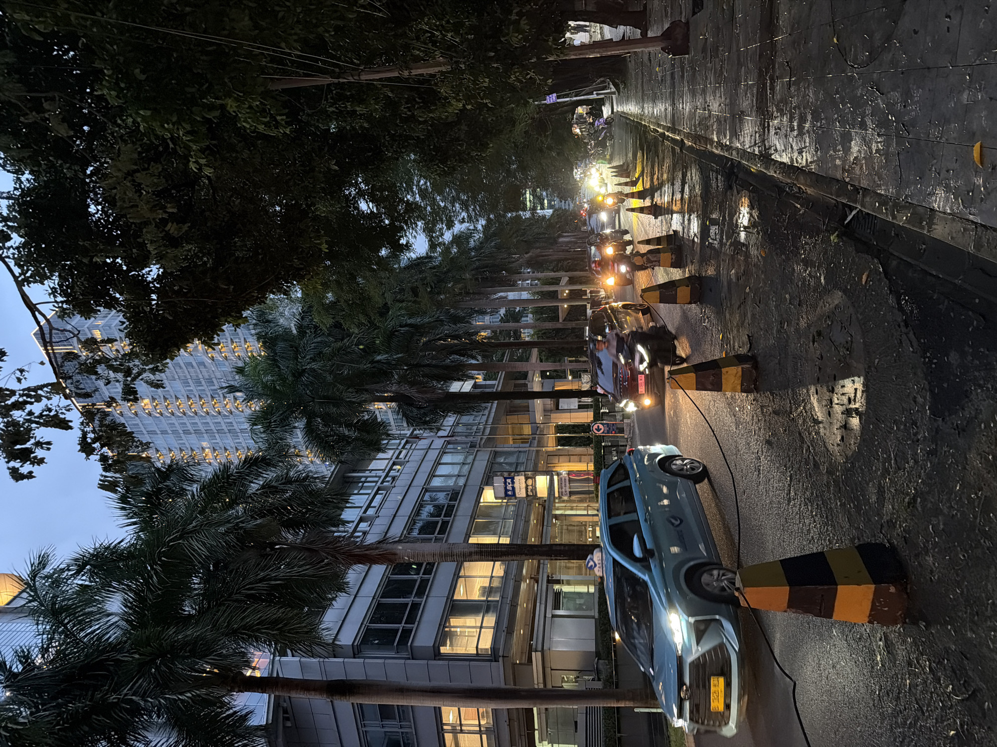 The image depicts a street in what appears to be a commercial district in South Jakarta, Indonesia. The wet road reflects streetlights and car headlights. A line of palm trees separates the street from a modern, multi-story office building. A blue car is parked along the curb, near a traffic bollard painted with alternating yellow and black stripes. Several other vehicles, including motorcycles, are visible further down the street. The sky is overcast, suggesting either late evening or early morning. A BCA bank sign is visible on the office building.