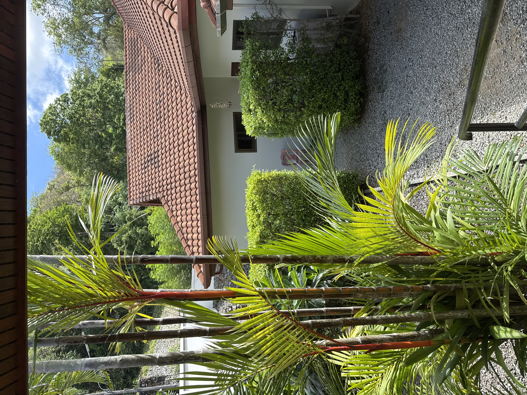 The image shows a view from a building in Rawai, Thailand. The scene includes a section of a roof covered in orange terracotta tiles. A one-story building with white exterior walls stands adjacent to the tiled roof. The courtyard next to the building is covered in gray gravel and features several trimmed, rounded shrubs. The foreground is dominated by palm fronds. A section of bamboo railing obscures part of the background. The sky is partly cloudy. A dense canopy of trees is visible in the background, beyond the building.