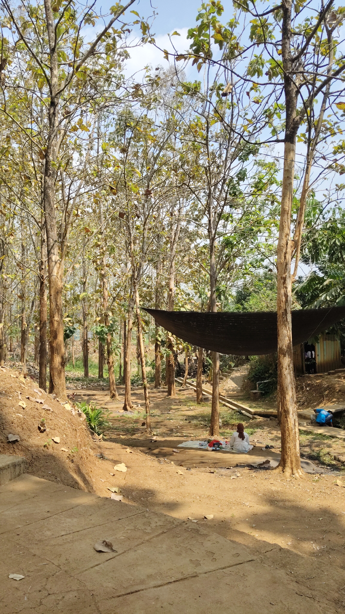 The image depicts an outdoor scene in the city of Kresek, Indonesia. A grove of tall, slender trees with sparse, yellowish leaves dominates the landscape. The ground is covered in dry earth and fallen leaves. In the mid-ground, a dark fabric shade structure is suspended between trees, creating a shaded area. Beneath this shade, a person wearing a white head covering and clothing is seated on a white mat, with several items, including what appears to be red and white food or objects, spread out before them. To the right of this individual, a small, weathered structure constructed from corrugated metal can be seen. Further to the right, another person in a blue shirt is partially visible near a concrete channel. The overall impression is one of a rustic, possibly informal gathering or resting spot within a wooded area.