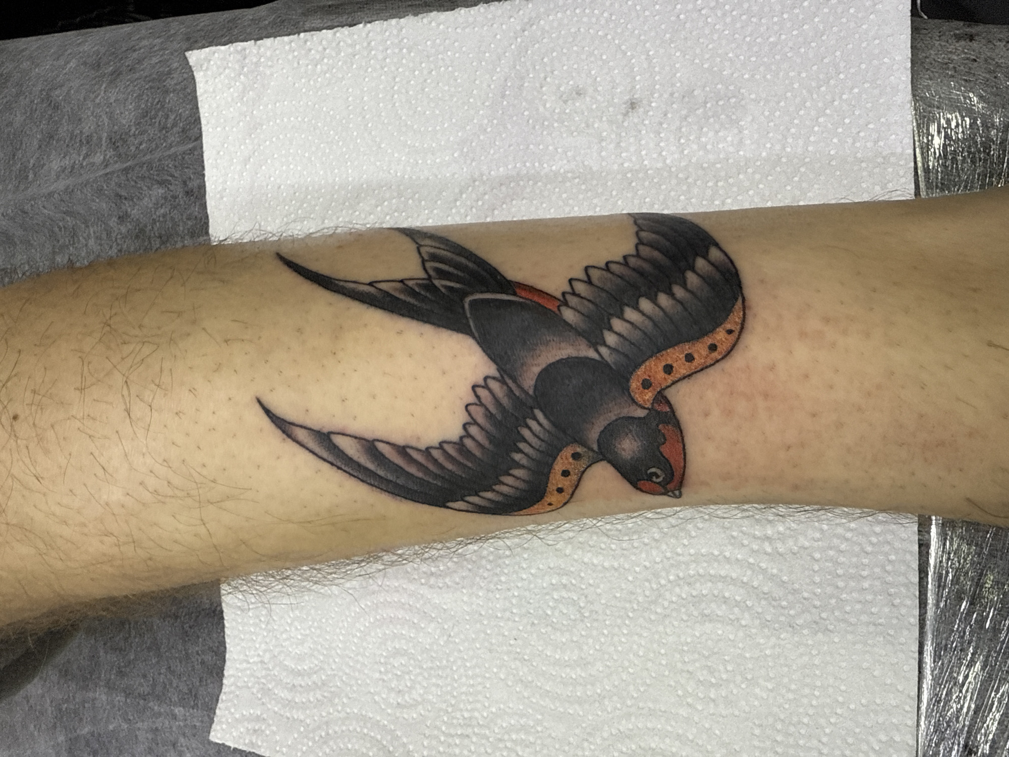 A close-up shot presents a tattoo of a swallow in flight on a person's arm. The bird is primarily black and gray, with hints of red and orange accents. The tattoo is situated on the forearm, which exhibits the presence of light-colored hair. The arm rests on a white paper towel. The setting appears to be a sterile environment, possibly a tattoo parlor. There is no indication of the image being taken in Moscow, Russia.