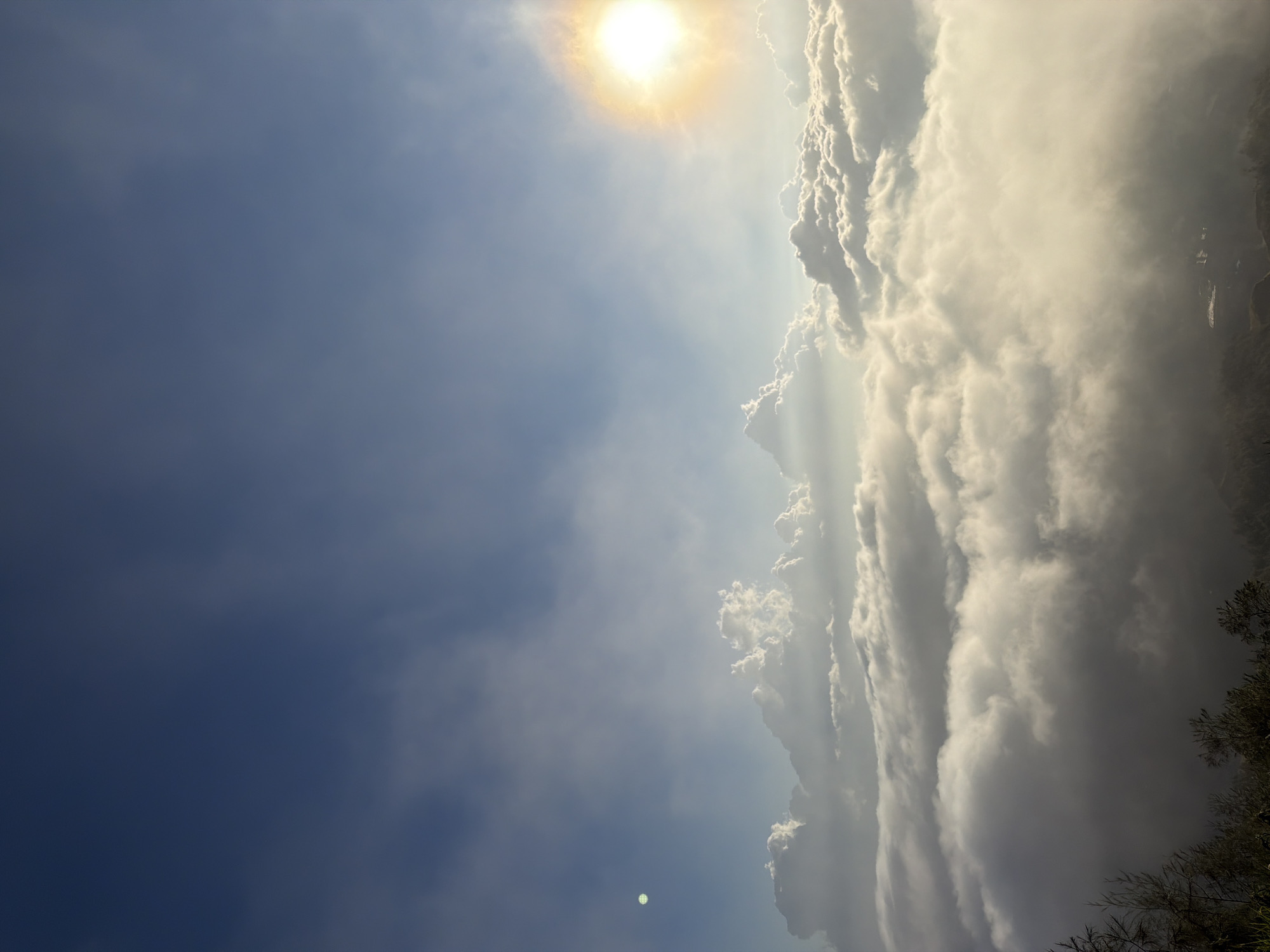 An aerial view captures a thick blanket of clouds, appearing as a soft, undulating landscape under a clear blue sky. The sun, a bright, radiant orb, casts a warm, golden glow on the upper edge of the cloud layer, creating a halo effect. Scattered white, cumulus clouds dot the expanse, with some catching the sunlight and appearing luminous. In the far distance, a hint of land and scattered structures can be seen peeking through the cloud cover. The foreground is occupied by the tops of dark, silhouetted trees, their branches reaching upwards towards the sky. This scene depicts the view from an elevated vantage point, likely a mountain or high ground, overlooking a vast expanse of clouds. The location is Kintamani, Indonesia, a region known for its stunning volcanic landscapes and often shrouded cloud formations, especially during sunrise or sunset.