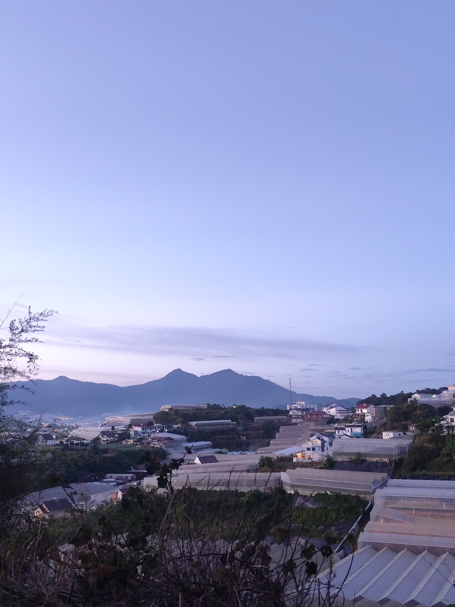The image captures a twilight view of a valley in Lạc Dương, Vietnam, characterized by agricultural greenhouses and residential buildings nestled amongst hills. The sky is a gradient of pale blue and lavender, transitioning to a lighter hue near the horizon, suggesting either sunrise or sunset. In the foreground, bare branches and foliage from trees or bushes partially obscure the view.
Dominating the middle ground and extending into the background are numerous white-tented structures, likely greenhouses used for agriculture. These structures vary in size and arrangement, forming distinct rows and patterns across the landscape. Interspersed among the greenhouses are clusters of houses, typically with white or light-colored walls and darker roofs, indicative of a residential area. Some of these houses appear to be illuminated from within, hinting at evening or early morning activity.
Further in the distance, a series of mountains form a natural backdrop to the scene. Their silhouettes are softened by the ambient light and atmospheric haze. The overall impression is one of a rural or semi-rural community engaged in agriculture, set within a hilly terrain and under a serene, dusky sky. There are no visible people or animals in the frame. The environment appears tranquil and the lighting suggests a quiet time of day.