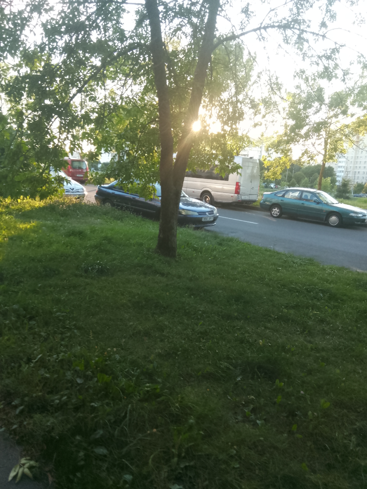 The image depicts an outdoor scene on a street with parked vehicles and a grassy verge. In the foreground, a grassy area with some scattered leaves occupies the lower half of the frame. Behind the grass, a paved road is visible, on which several cars are parked. One dark blue sedan is parked closest to the viewer, followed by a silver minivan and a green hatchback. Further down the road, a red vehicle is partially visible. Trees with green foliage are present in the middle ground, with the sun shining through the branches, creating lens flares. In the background, apartment buildings are visible on the right side of the image. The overall impression is a typical urban streetscape during daylight hours, possibly late afternoon due to the warm light. The location is identified as Minsk, Belarus.