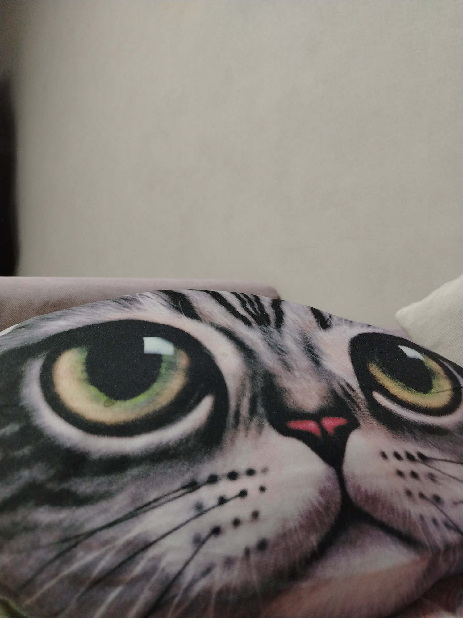 The image shows a close-up of a cat face printed on a pillow. The cat has large, green eyes and a pink nose. The pillow is resting on a surface, with a neutral-colored background behind it. No information indicates a location in Izhevsk, Russia.
