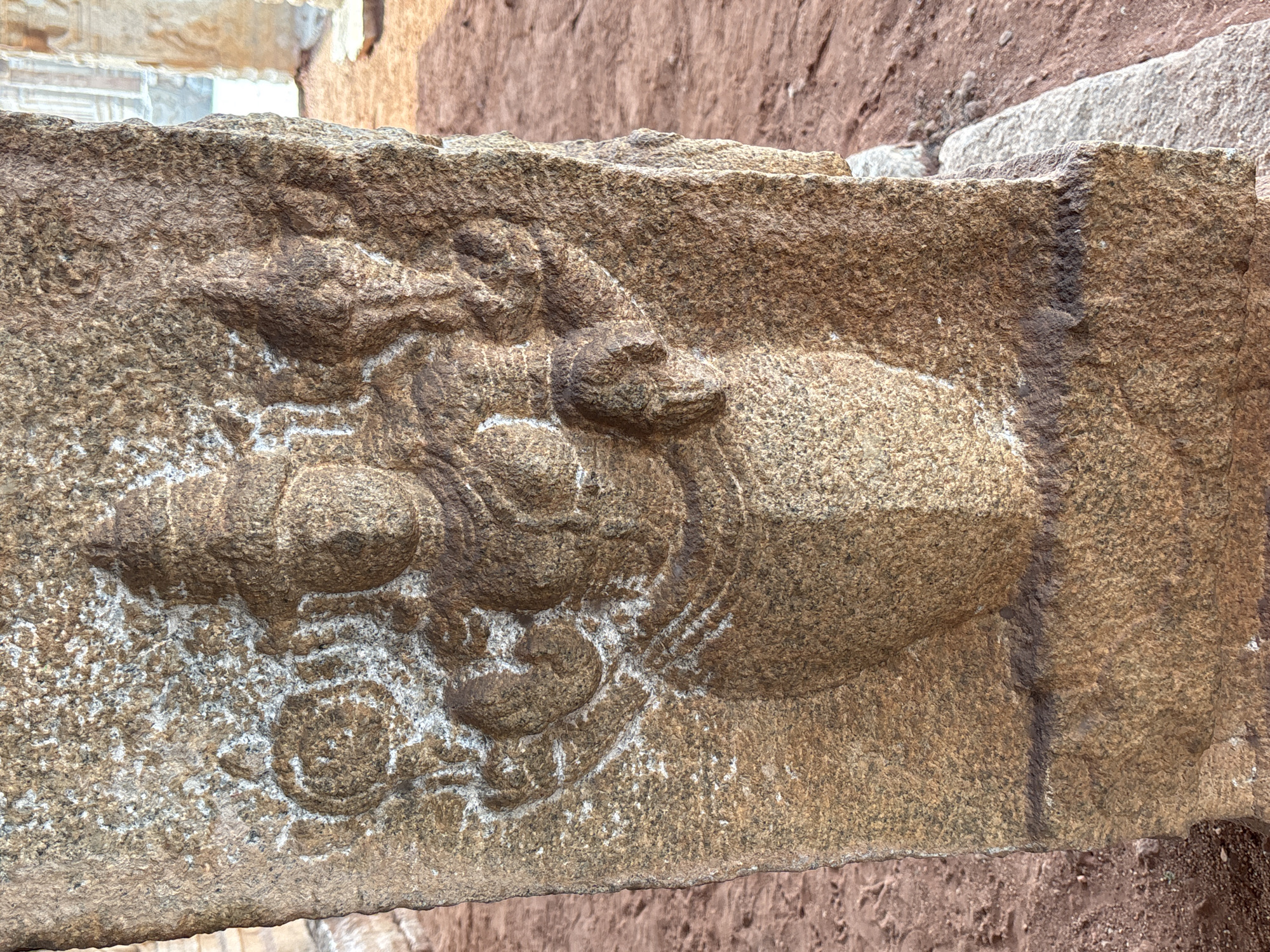 A close-up shot depicts an aged stone carving, likely a lintel or structural element, found in Kamalapura, India. The carving presents a stylized, reclining figure with multiple limbs, possibly a deity or mythical creature. The figure is situated amidst decorative carvings and appears weathered. The stone exhibits a rough texture with visible erosion and lichen growth. The background includes a blurred wall of similarly textured stone, emphasizing the age and historical context of the carving.