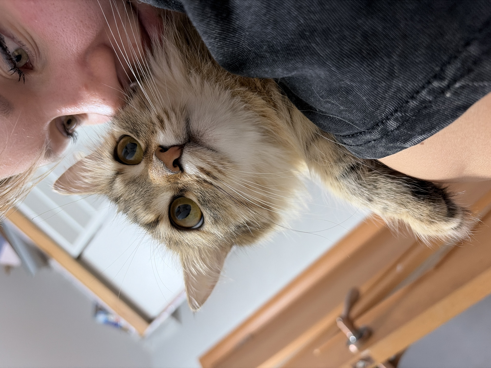 A young woman holds a fluffy tabby cat close to her face. The cat's large, round eyes are looking directly at the camera, with its nose slightly tilted up. The woman's face is partially visible, with one eye looking towards the camera and the other looking away. The background is blurred, showing a wooden door with a brass handle and a shelf with some items on it. The scene appears to be indoors, likely in a residential setting in Chaikovsky, Russia. The lighting is soft and natural.