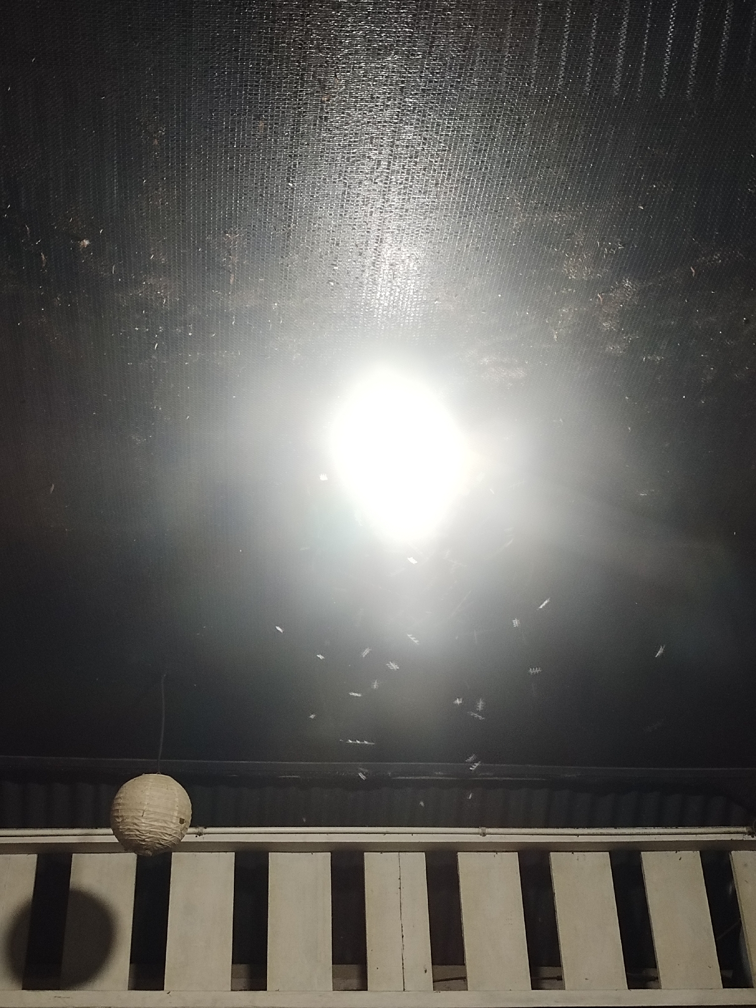 This image depicts a nighttime scene with a bright light source illuminating numerous small flying insects in the air. The light appears to be coming from a fixture above, which is shining down on a dark, textured surface that may be a ceiling or canopy. Below this, a white railing with vertical slats is visible, and to the left, a round, textured lantern hangs from a string. The scene suggests an outdoor setting, possibly a patio or porch area. The location is identified as Keudematangkuli, Indonesia.