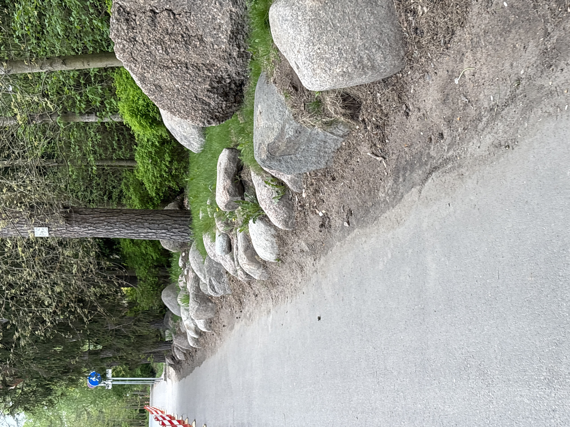 The image shows a paved road in Solnechnoye, Russia. A row of rounded gray stones lines the road's edge on the left side. Behind the stones is grass and then a forest. A tree trunk is visible with a sign on it. In the distance, a blue and white traffic sign is visible, as well as a red and white barrier. The road is gray and appears to be asphalt or concrete.