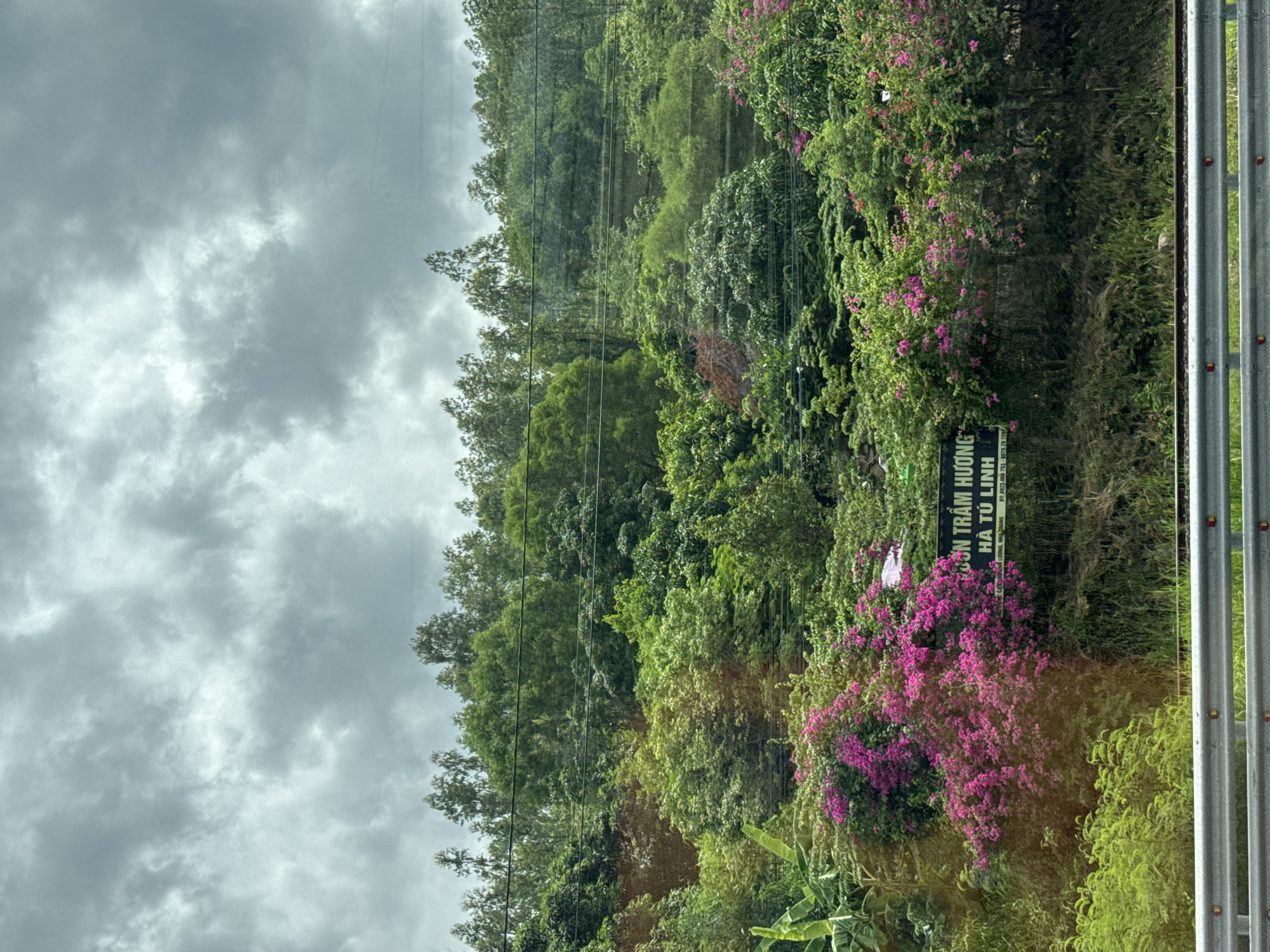 The image depicts a hillside covered in dense foliage and trees, with vibrant pink bougainvillea flowers blooming in the foreground. A dark sign with white text is partially visible amongst the greenery, displaying Vietnamese characters that read "TRÀM HƯƠNG HÀ TÙ LINH". This suggests the location is Tràm Tràm Hương, Hà Tú Linh, likely a place of interest or business. Power lines are strung across the scene, indicating the presence of infrastructure. In the bottom of the frame, a metal guardrail runs horizontally, suggesting the vantage point is from a road or elevated pathway. The sky above is overcast with heavy, grey clouds. The scene appears to be a natural landscape with some human elements, possibly on the outskirts of Ninh Ích, Vietnam.