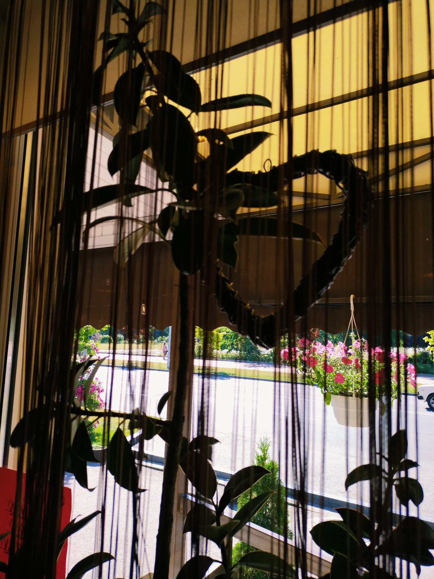 A potted plant with dark green leaves is silhouetted by sunlight filtering through a beaded curtain. The plant is positioned in the foreground and partially obscures the view of a street scene. In the background, a street runs parallel to the foreground, bordered by greenery and pink flowers in a white hanging planter. A light-colored vehicle is partially visible on the right side of the street. The sky above is a bright yellow, suggesting daytime. The scene appears to be from a window in Horishni Plavni, Ukraine.