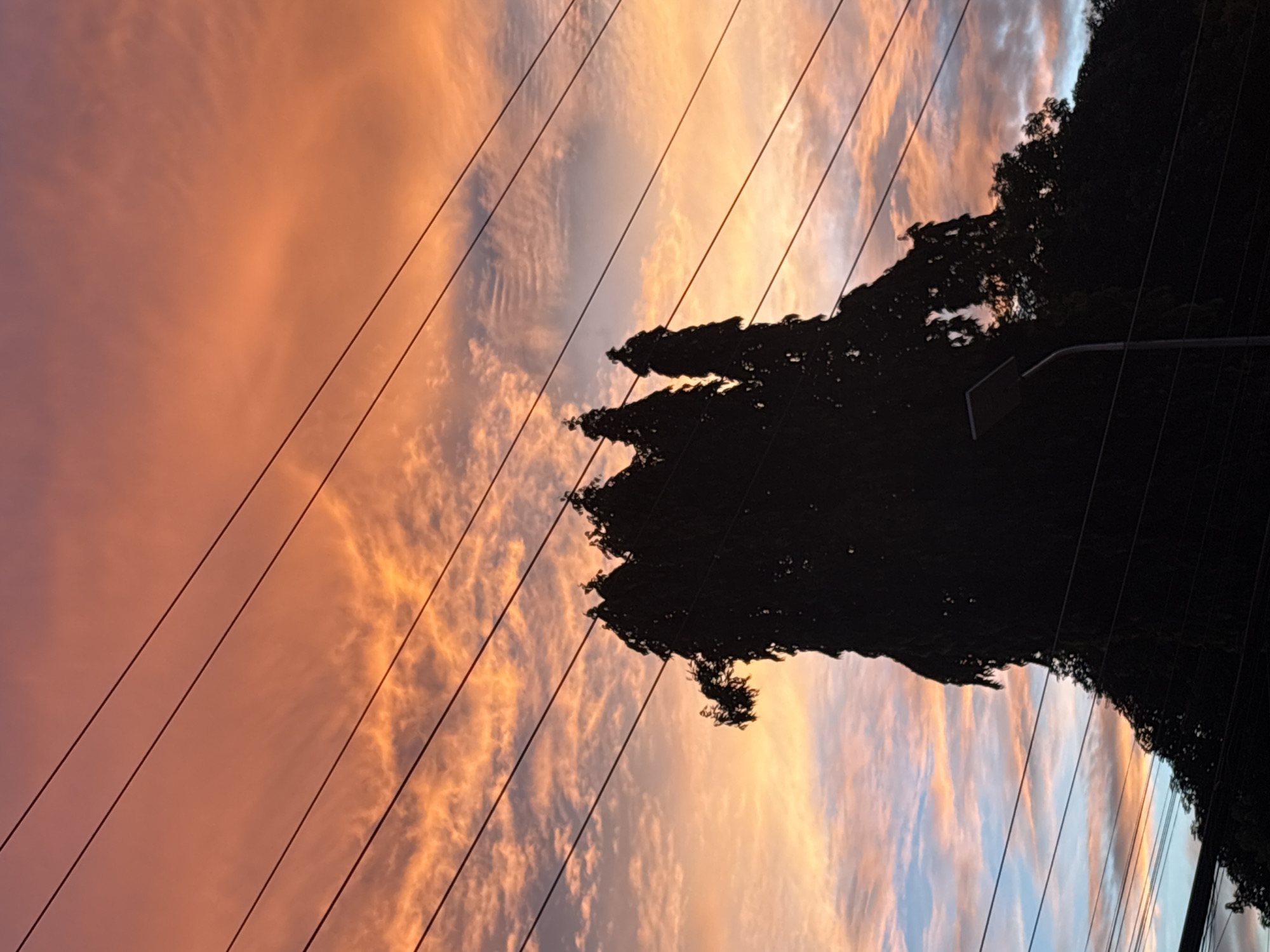 The image depicts a silhouetted view of a tree and utility lines against a colorful sunset sky. The sky is a gradient of orange, pink, and blue hues, with wispy clouds. Multiple dark, parallel utility lines traverse the frame horizontally, creating a pattern. In the foreground, a dense, dark silhouette of a tree occupies a significant portion of the frame, its irregular shape suggesting foliage and branches. A street lamp is also visible, silhouetted against the sky, positioned to the right of the tree's center. The scene appears to be an urban or suburban environment given the presence of utility lines and a street lamp. While the specific location within Davao City, Philippines, cannot be precisely determined from the image alone, such sunset scenes with utility lines are common in residential or roadside areas throughout the city. There are no people or identifiable actions visible.