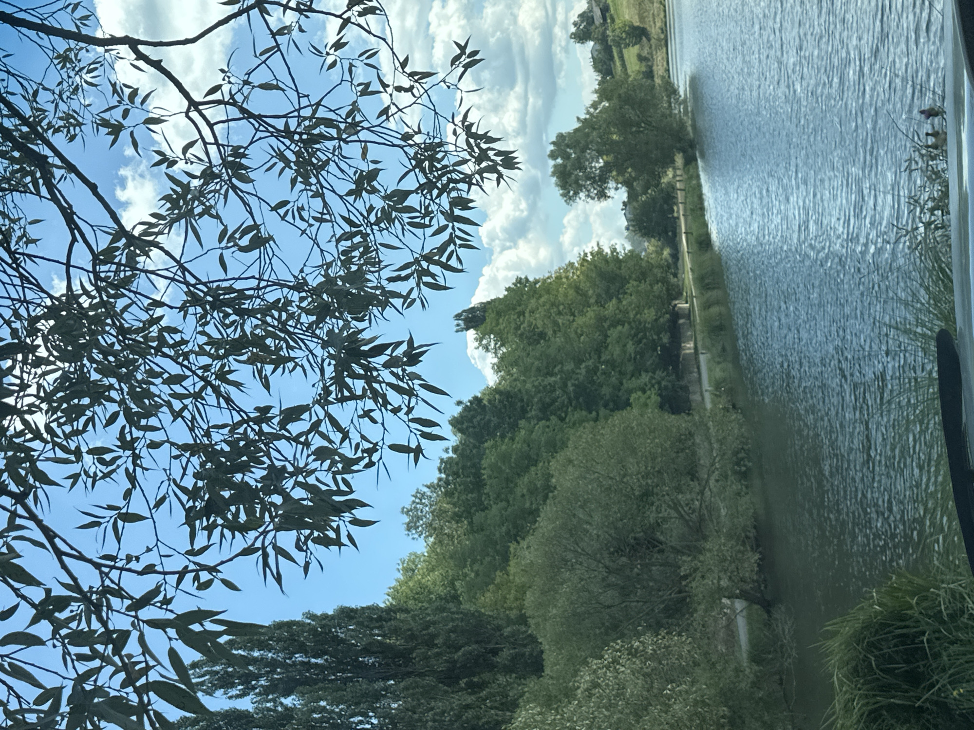 The image shows a tranquil lake scene on a bright, partly cloudy day. In the foreground, the dark interior of a vehicle is visible, suggesting the photo was taken from inside a car. Branches of a leafy tree hang down from the top of the frame, obscuring parts of the blue sky and white clouds.
The lake itself occupies the right and lower portions of the image, its surface rippling with the reflection of the sky and trees. Along the left bank of the lake, a dense line of various green trees forms a backdrop. These include tall, slender trees on the far left, followed by a variety of lush, rounded trees and bushes. A paved path or road is visible running along the edge of the trees, parallel to the lake. In the distance, on the right side of the frame, a gentle hillside is covered with more greenery and a few scattered houses, indicating a semi-rural or suburban setting. At the very bottom right, two small figures can be seen on the water, possibly people in a boat or on the shore.
This scene is located in the city of Makiv, Ukraine, specifically depicting a natural area around a body of water, likely a park or a recreational spot within or on the outskirts of the city. The overall impression is one of peacefulness and natural beauty.